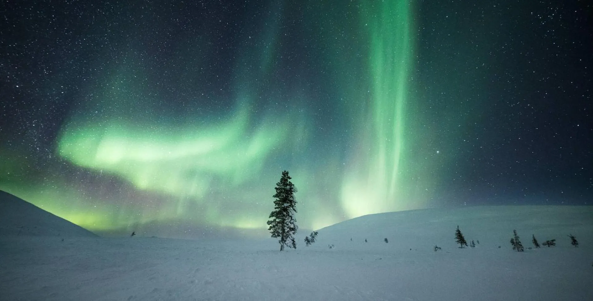 Toilet in Lapland Hotels Hetta