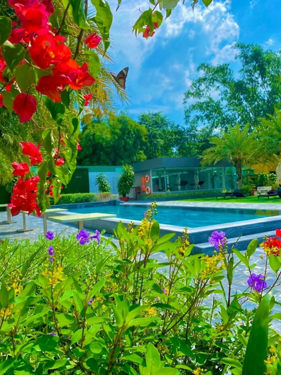 Swimming pool in The Mira Boutique Hotel