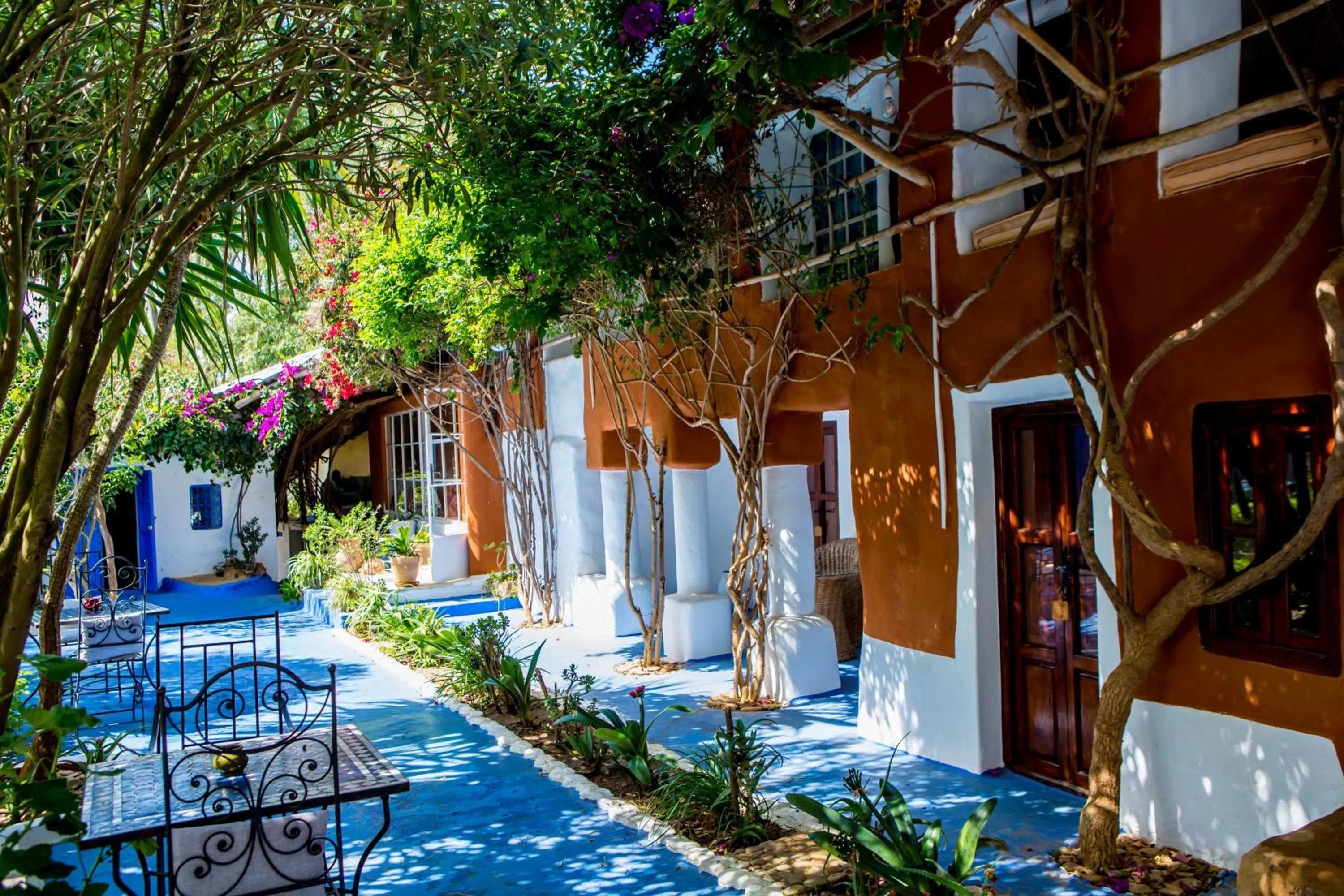 Garden in Maison d'hotes Berbari