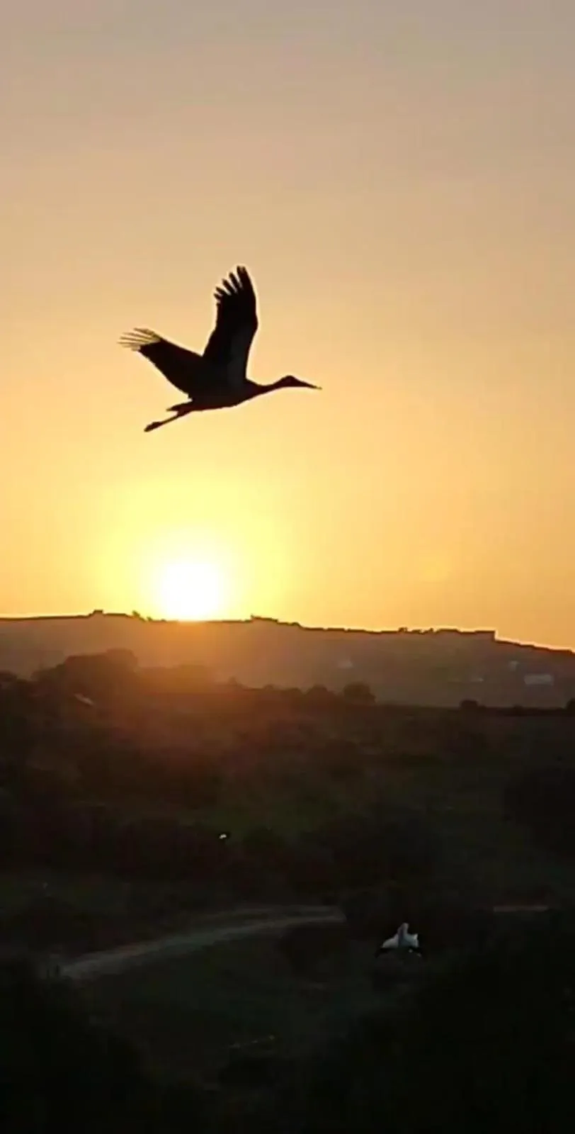 Sunset in Maison d'hotes Berbari