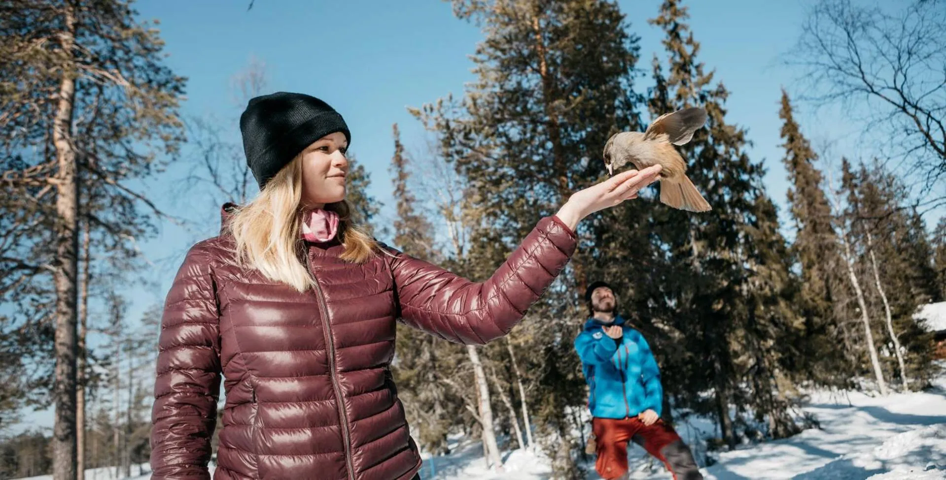 People in Lapland Hotels Sirkantähti
