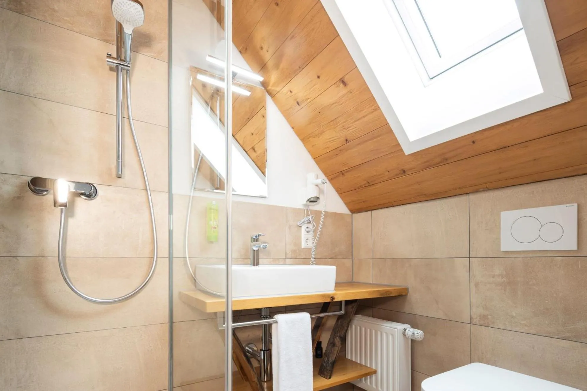 Shower in Altbau Gasthaus Amboss