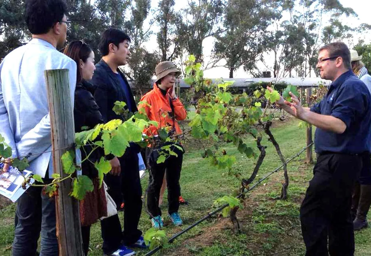 group of guests in Hunter Valley Resort, Hunter Farm Adventure Centre & 4 Pines at the Farm