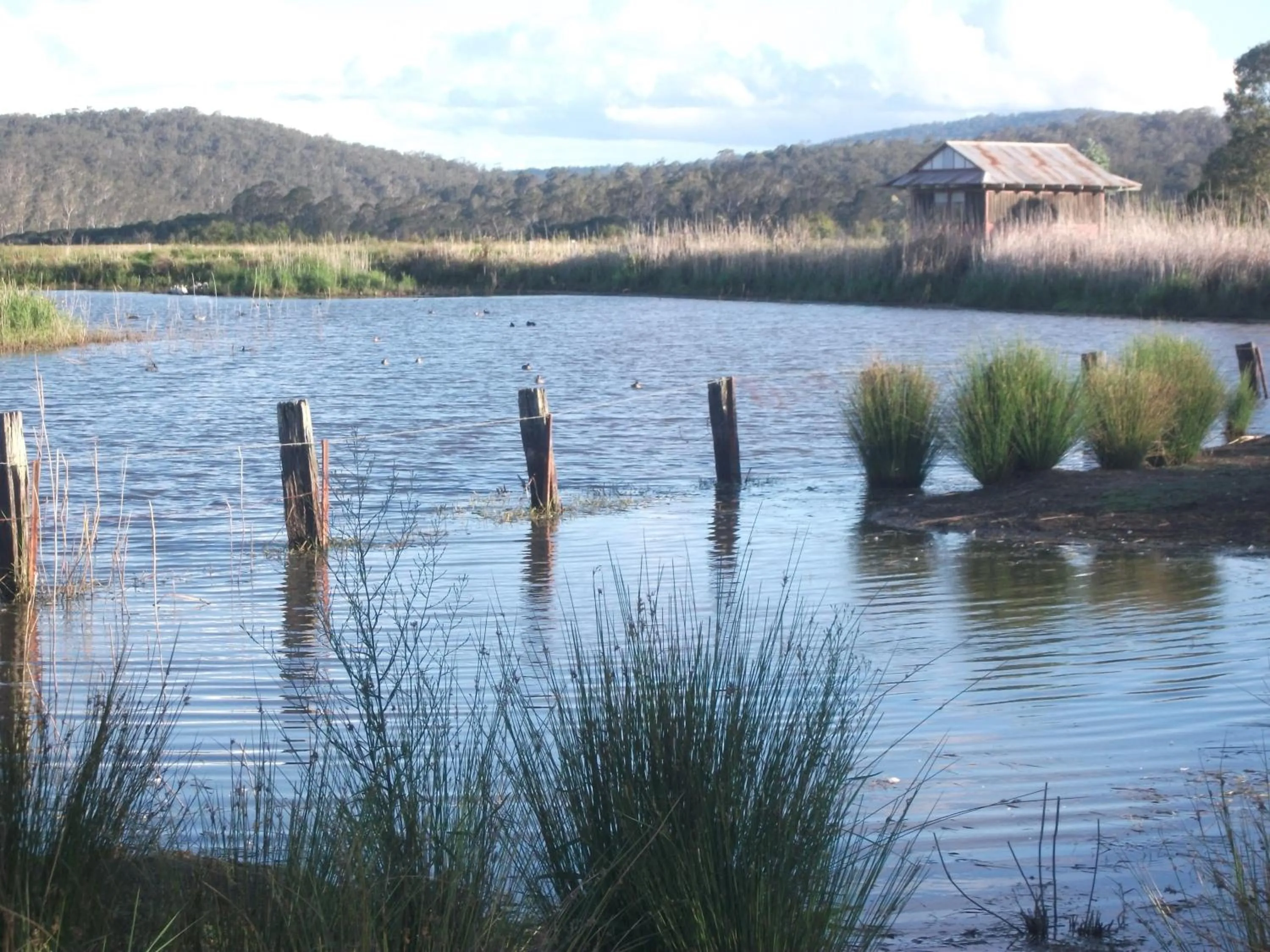 Day in Idlewilde Town & Country Motor Inn