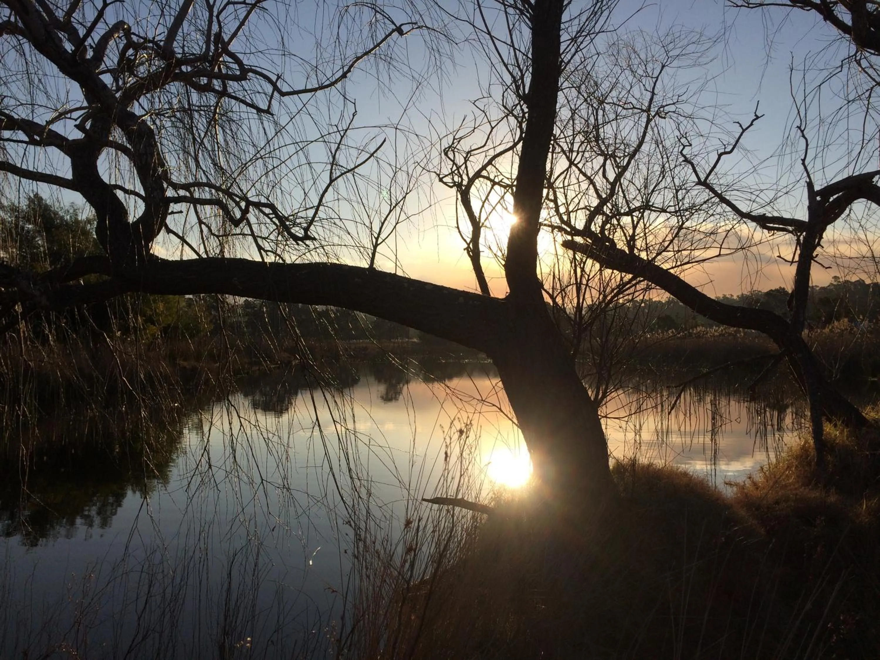 Natural landscape in Idlewilde Town & Country Motor Inn