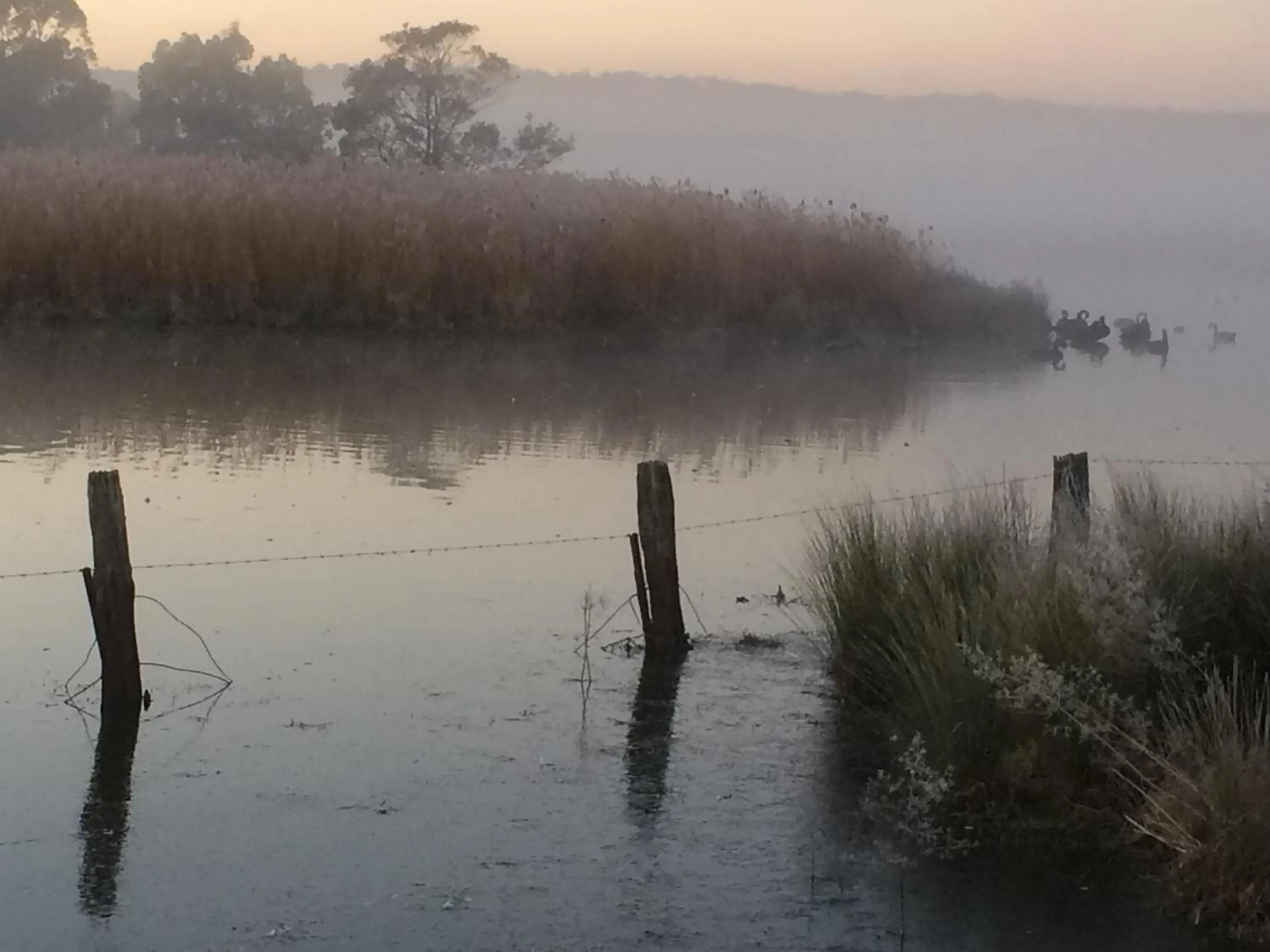 Natural landscape in Idlewilde Town & Country Motor Inn
