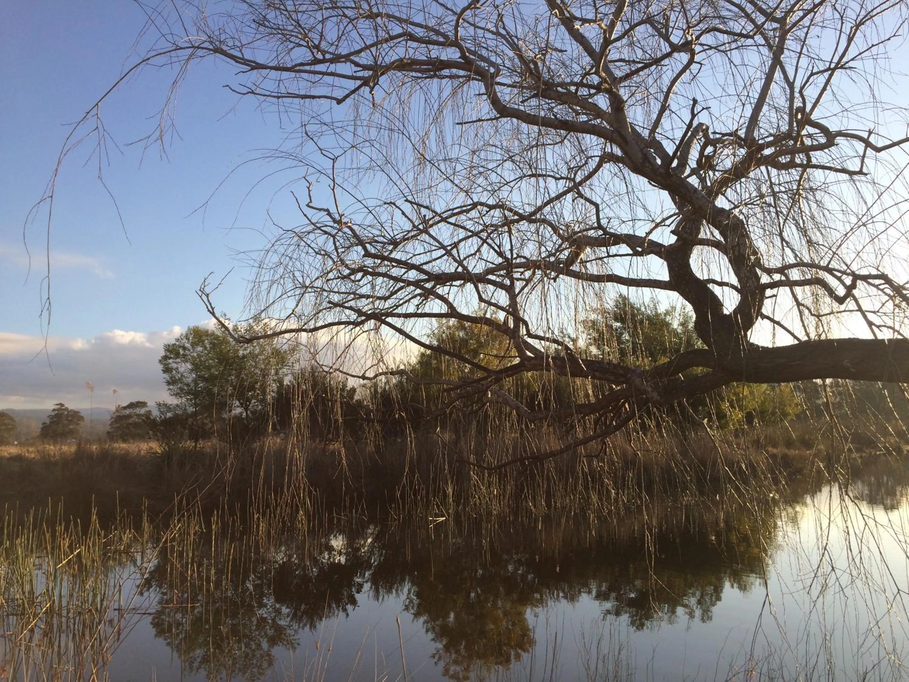 Natural landscape in Idlewilde Town & Country Motor Inn
