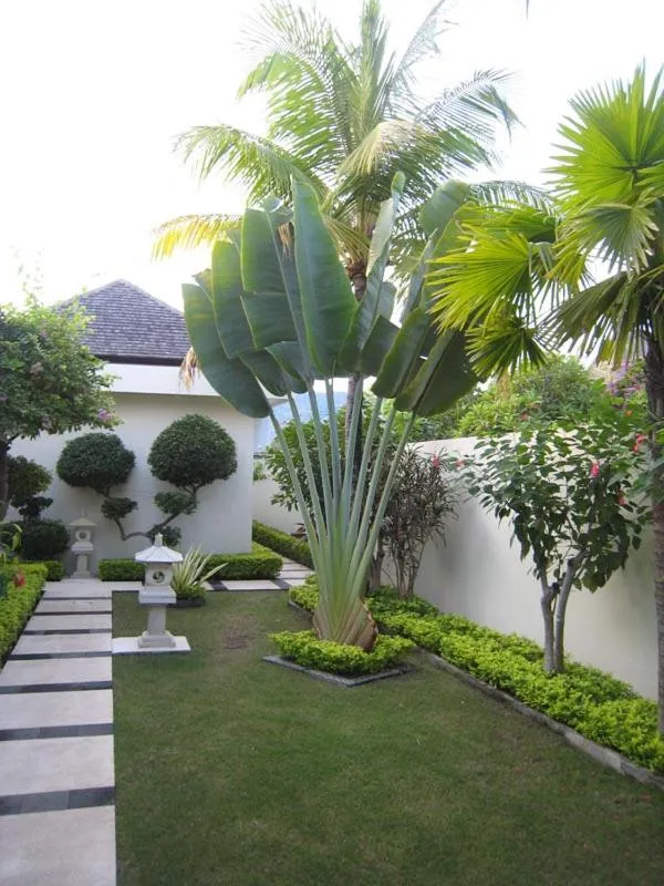 Frangipani Beach Hotel