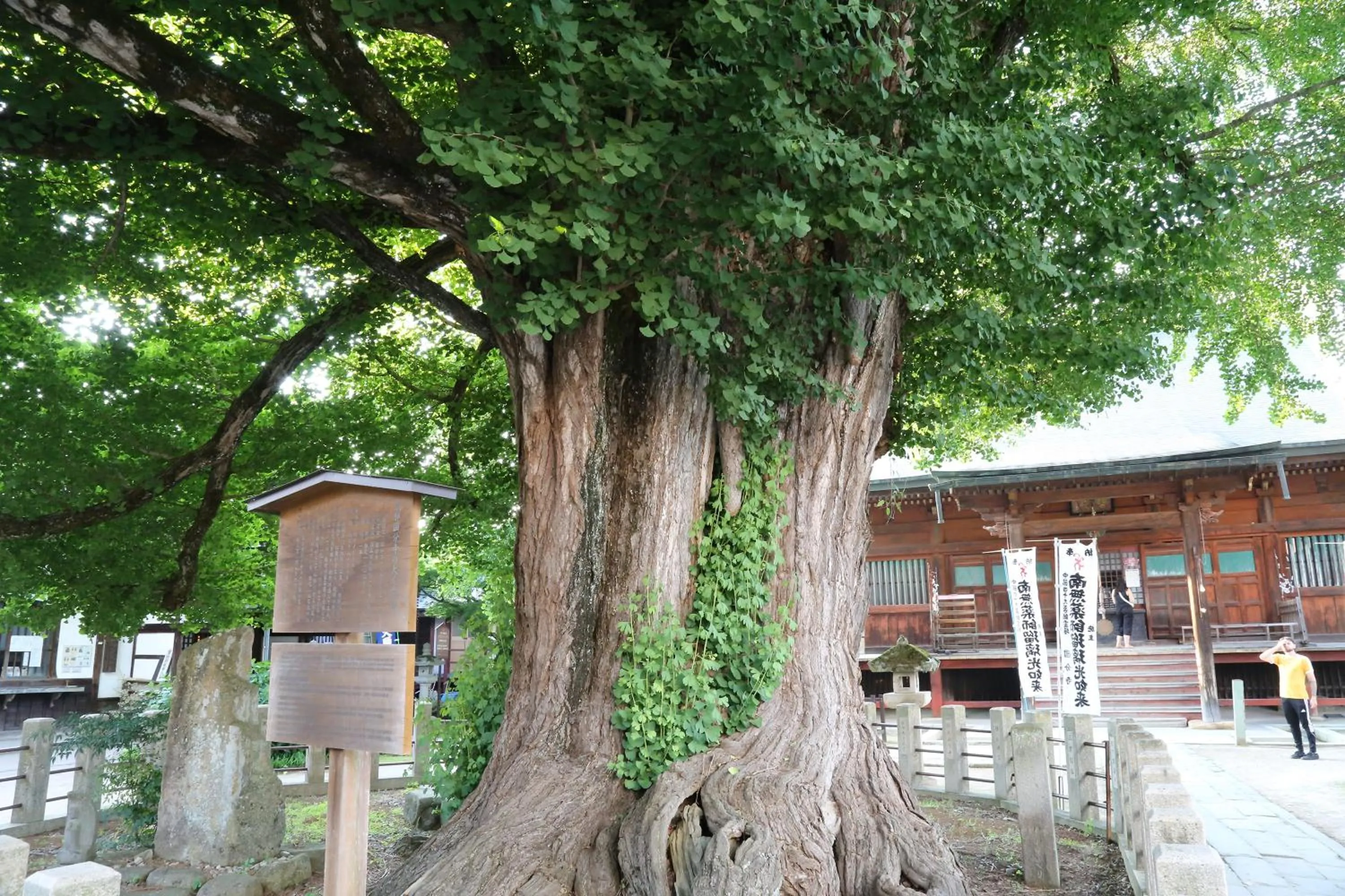 Nearby landmark in Country Hotel Takayama