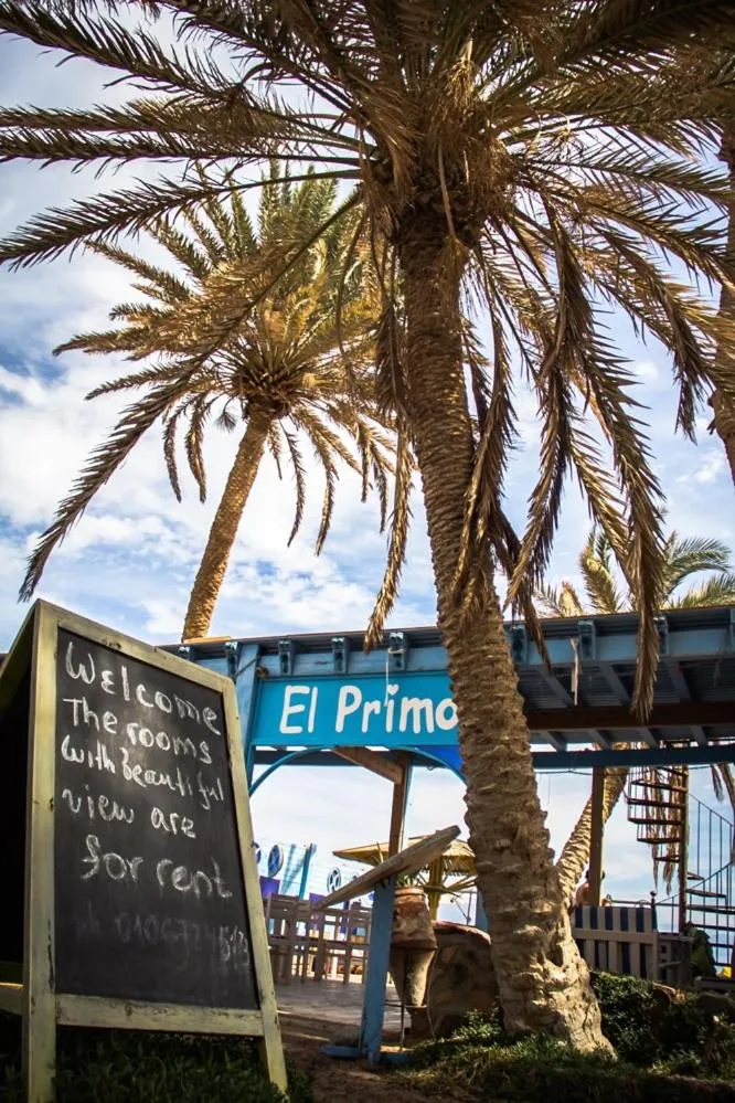 Decorative detail in El Primo Hotel Dahab