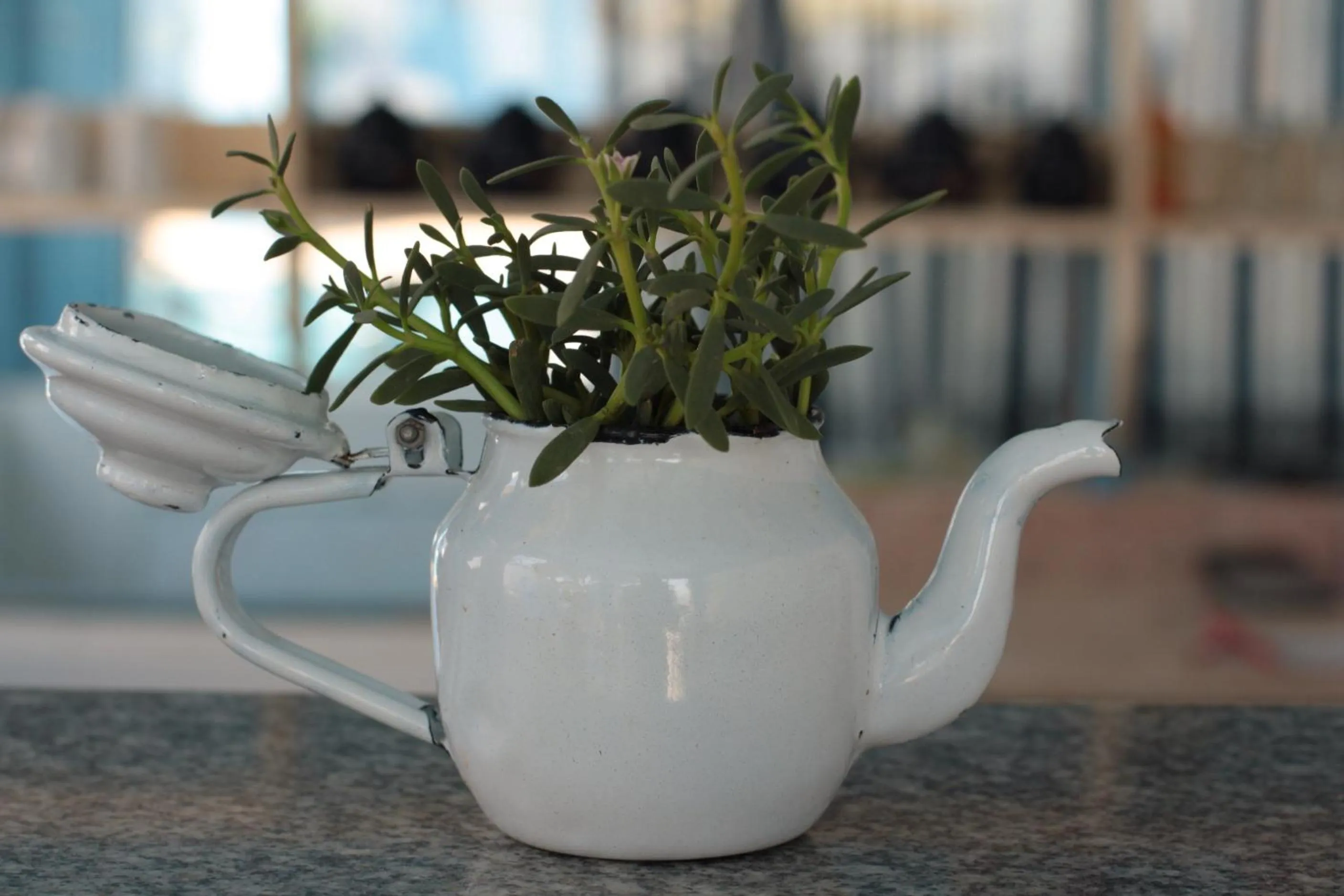 Decorative detail in El Primo Hotel Dahab