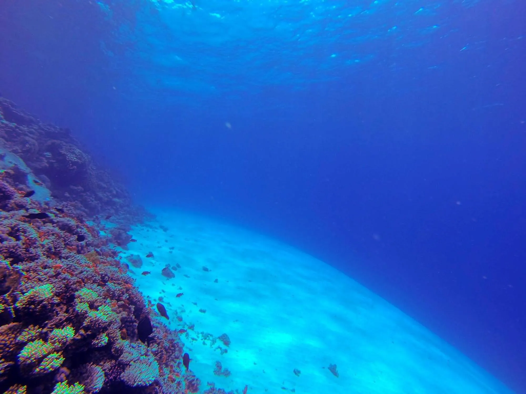 Diving in El Primo Hotel Dahab