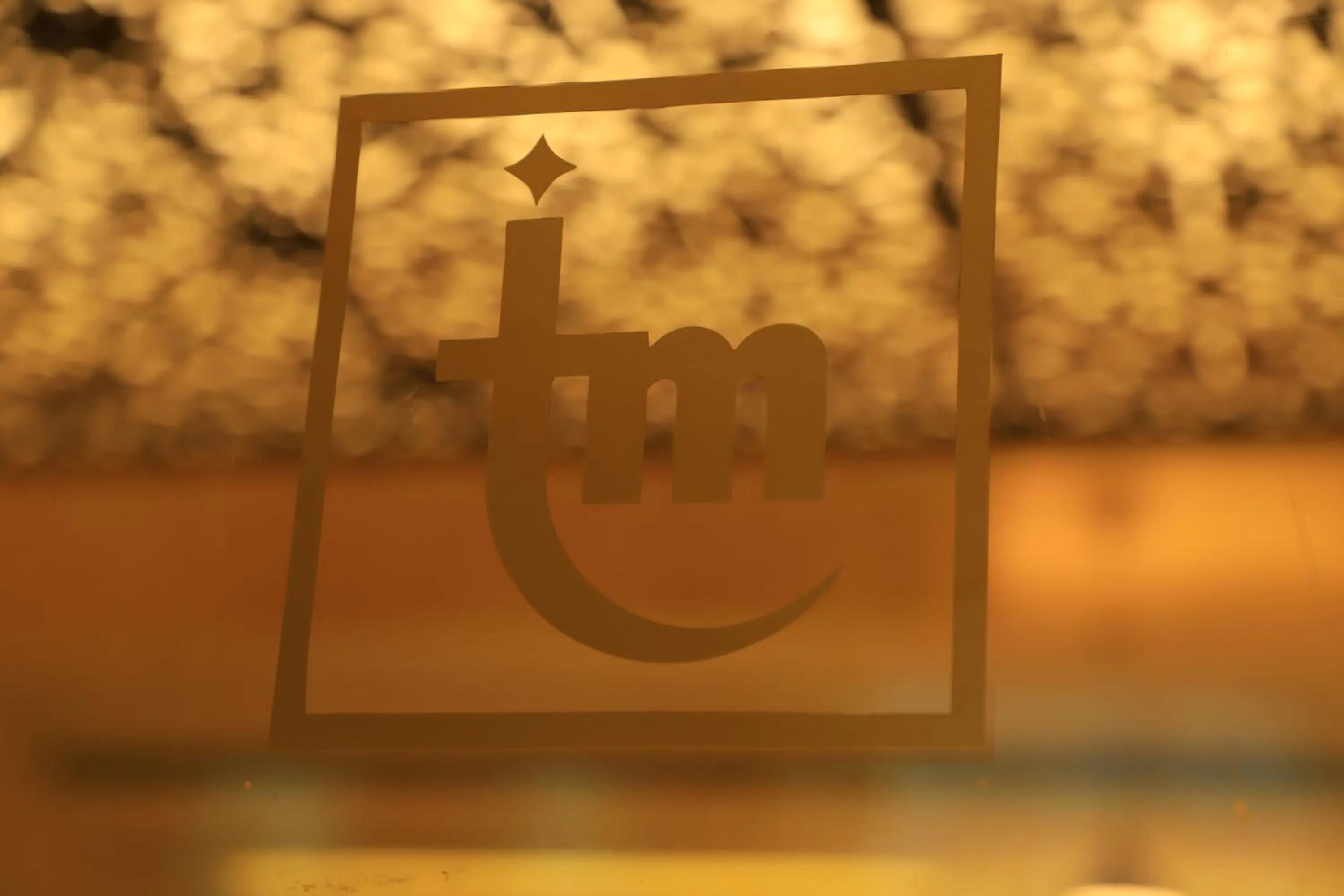 Decorative detail in TM Hotel