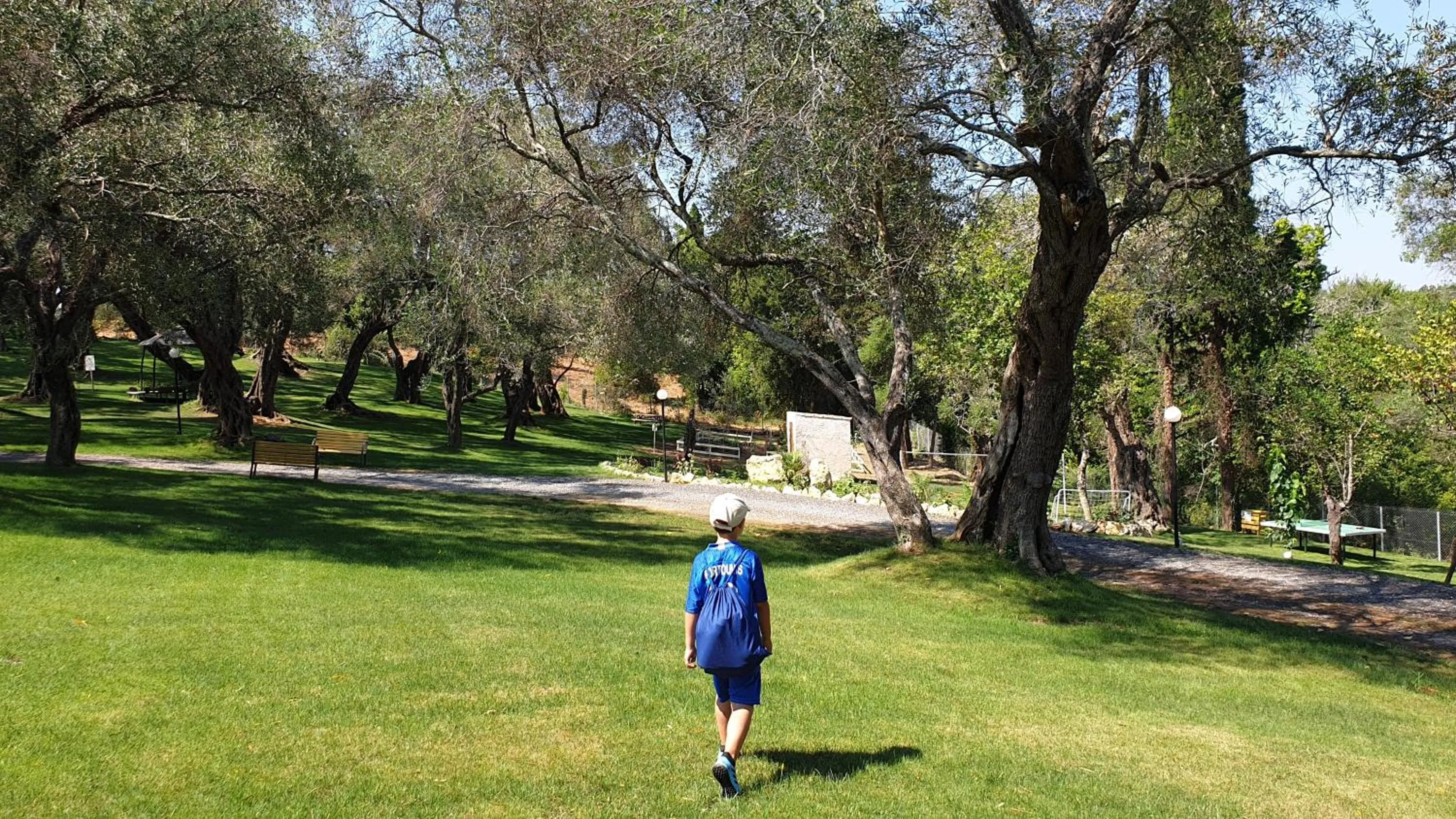 Area and facilities in Hotel Yannis Corfu