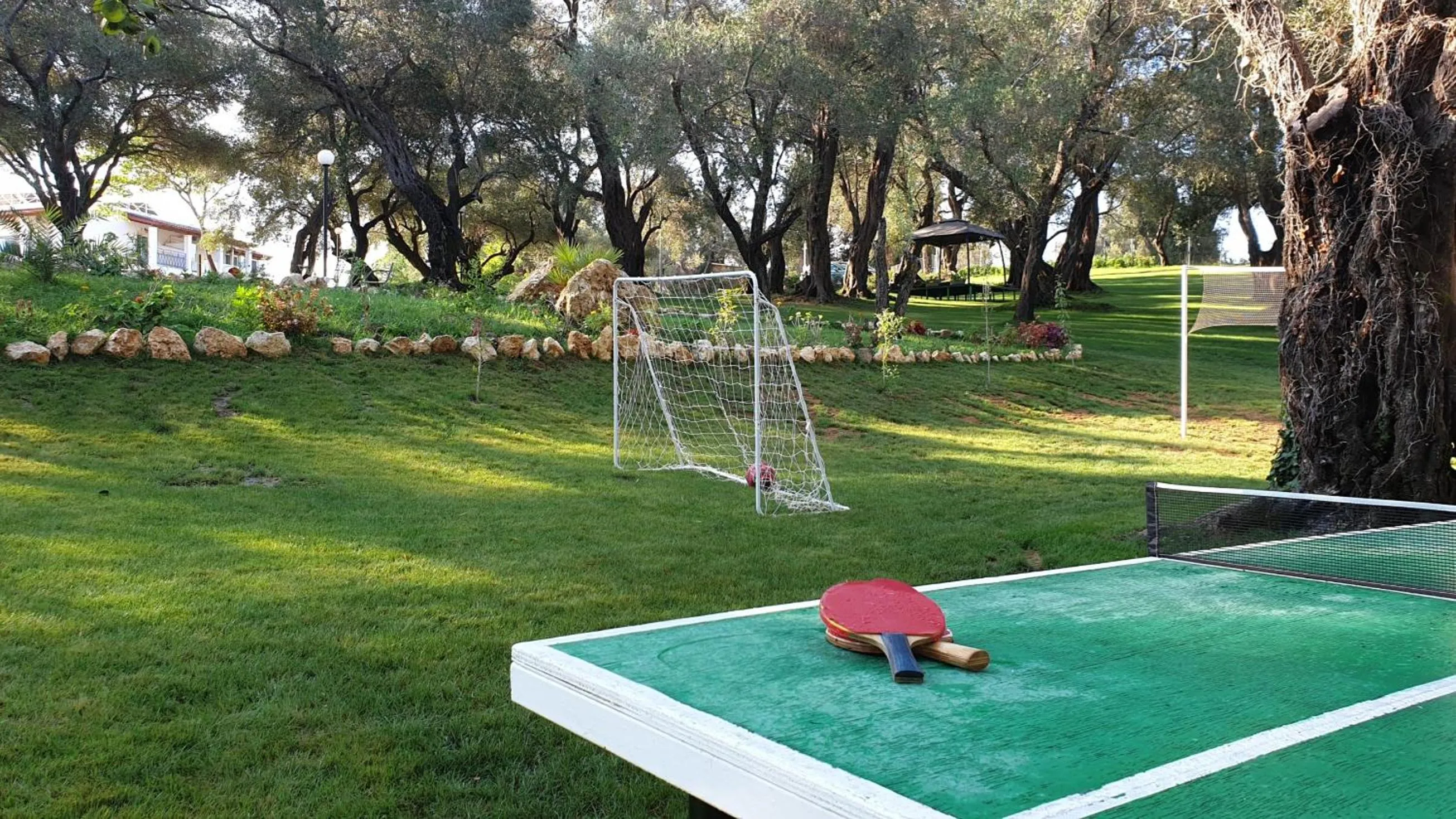 Area and facilities in Hotel Yannis Corfu