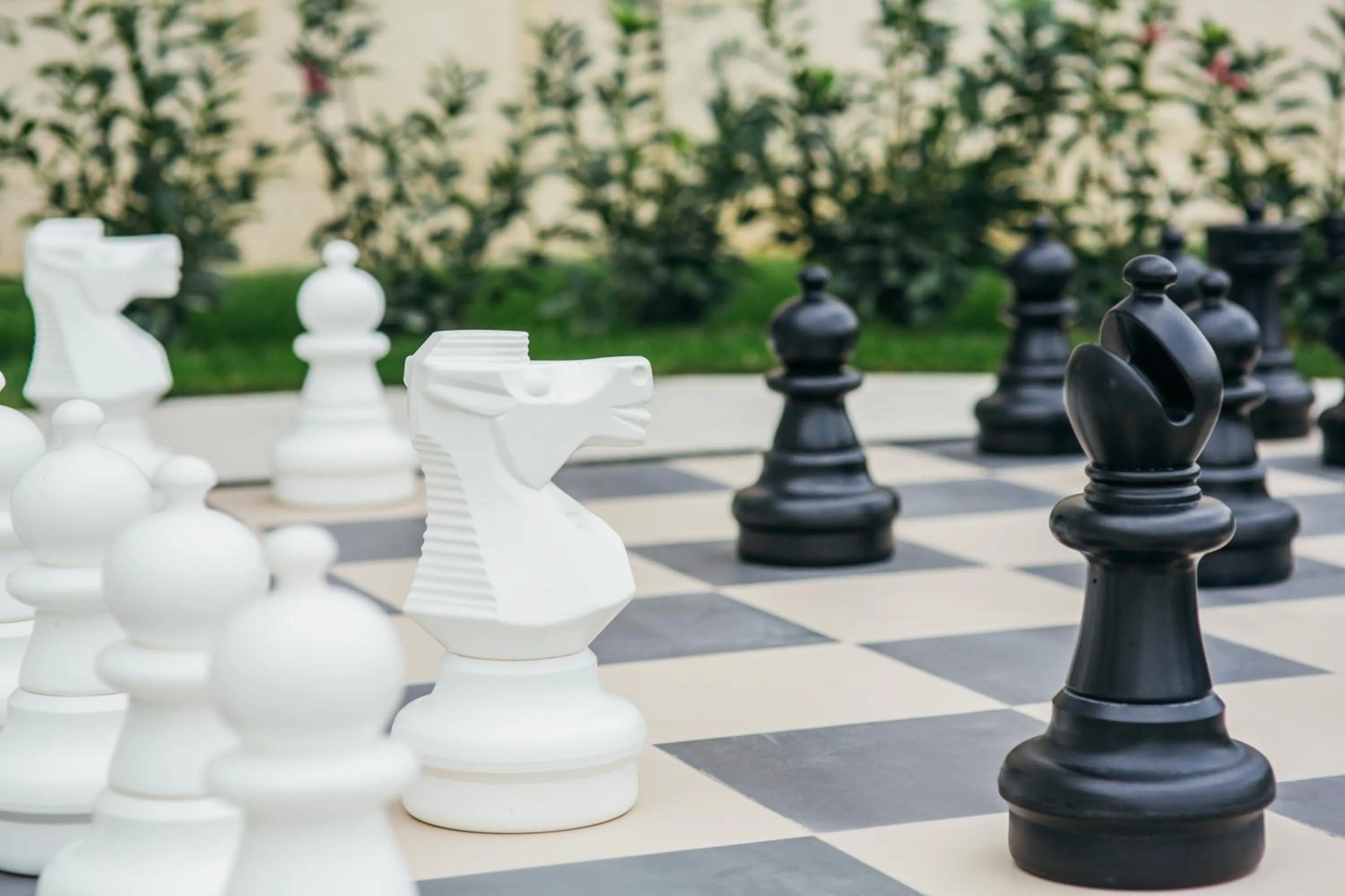 Area and facilities in Hotel Yannis Corfu