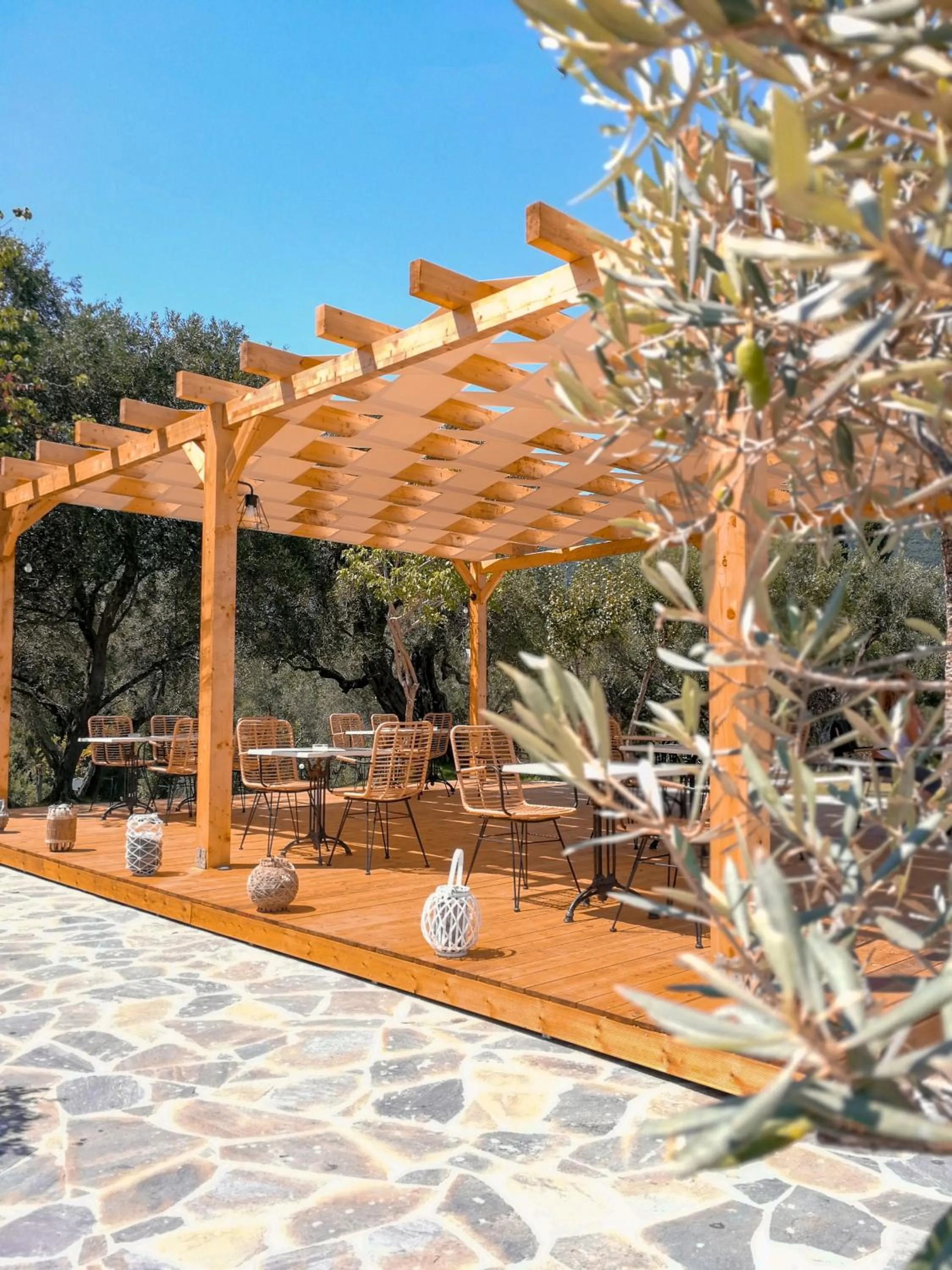 Area and facilities in Hotel Yannis Corfu