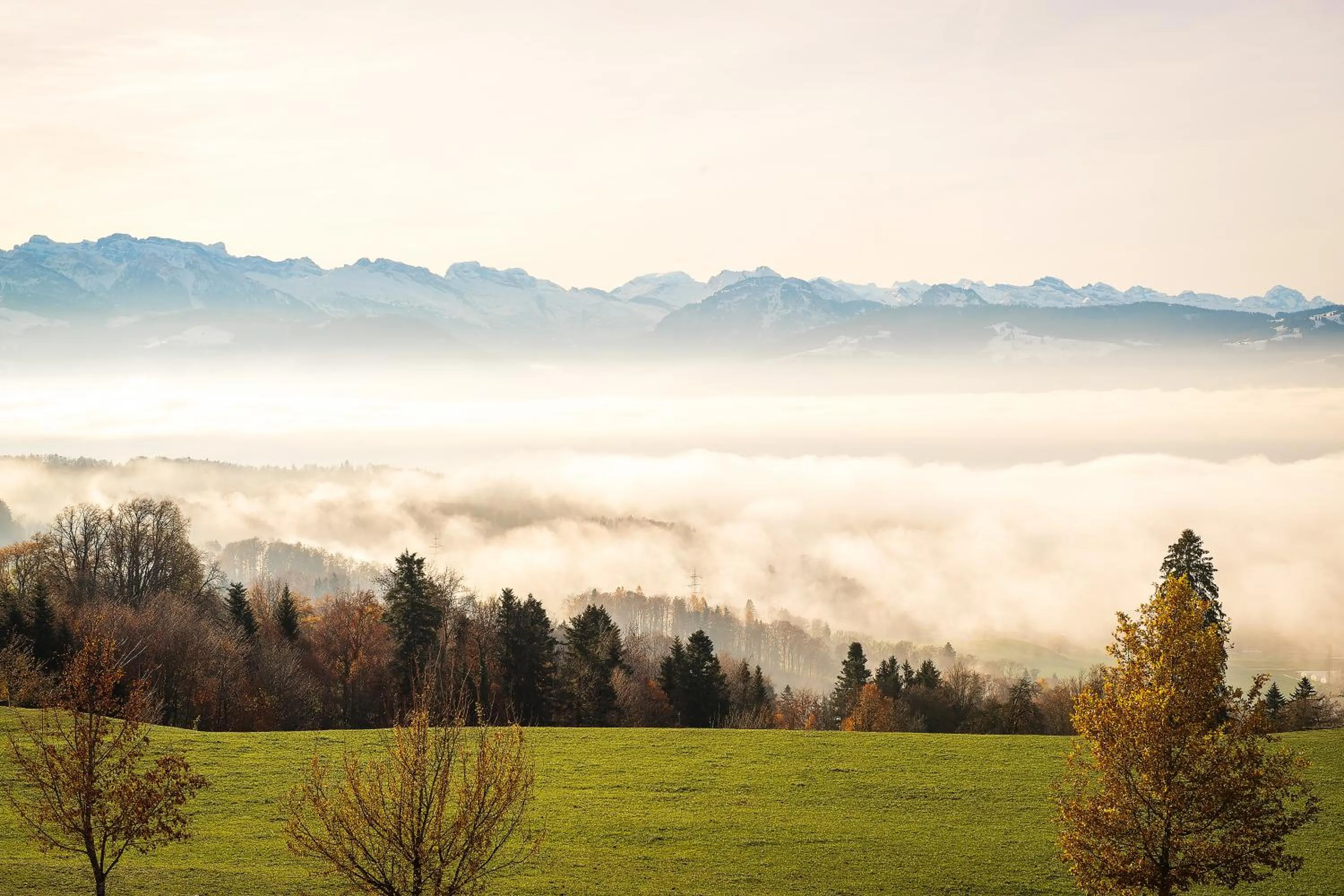 Natural landscape in Hotel & Restaurant Hasenstrick