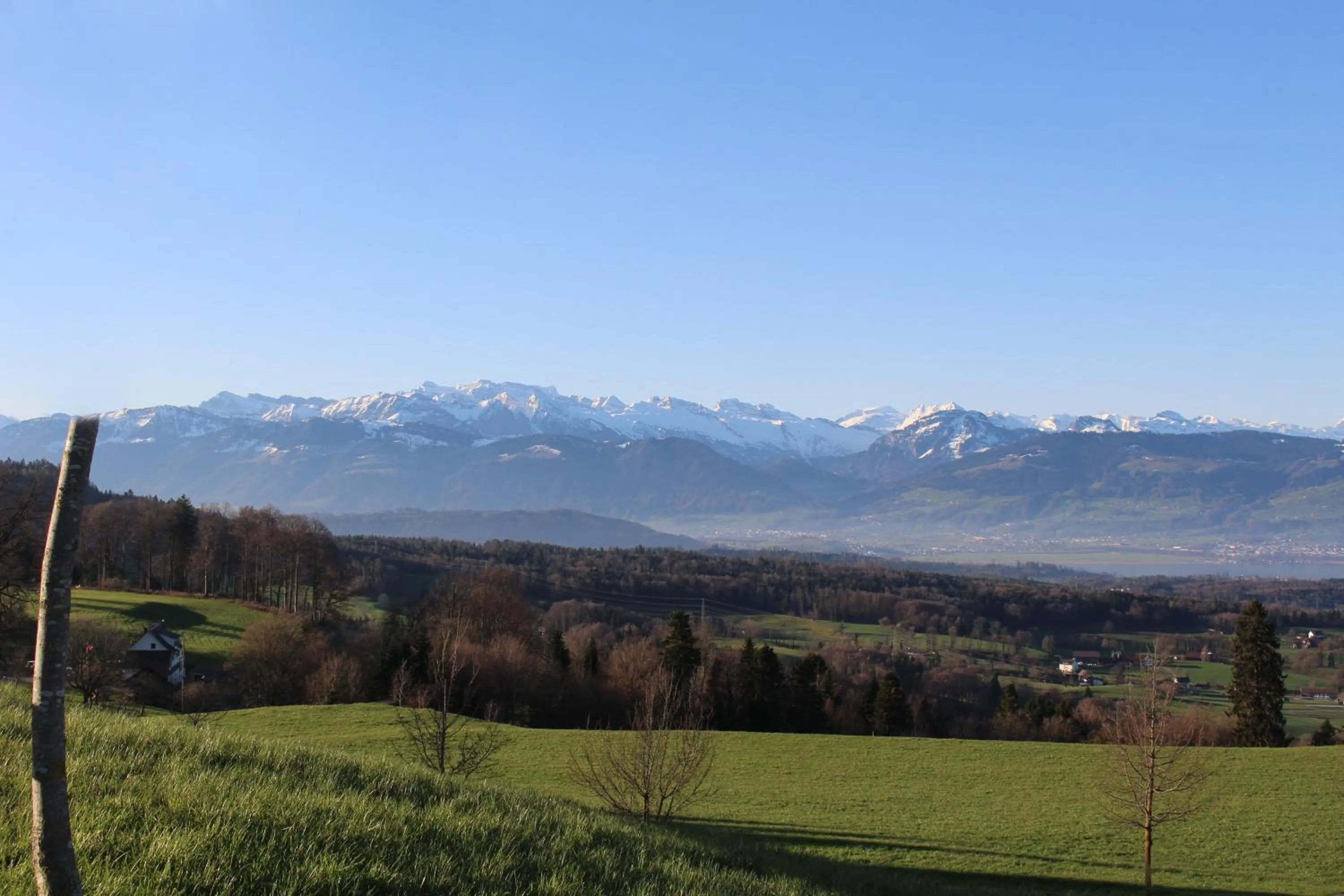 View (from property/room) in Hotel & Restaurant Hasenstrick