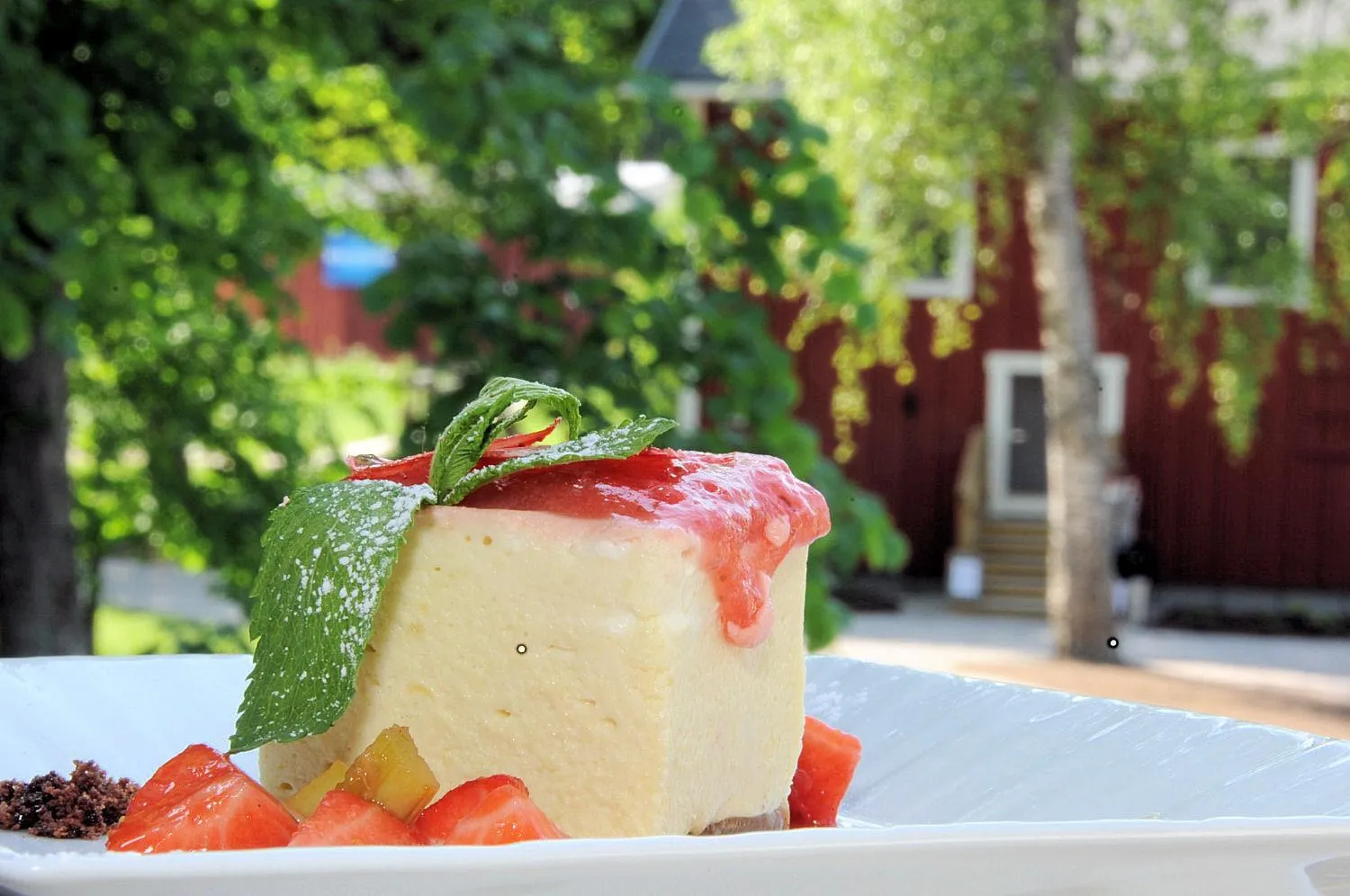 Restaurant/places to eat in Hotel Krapi