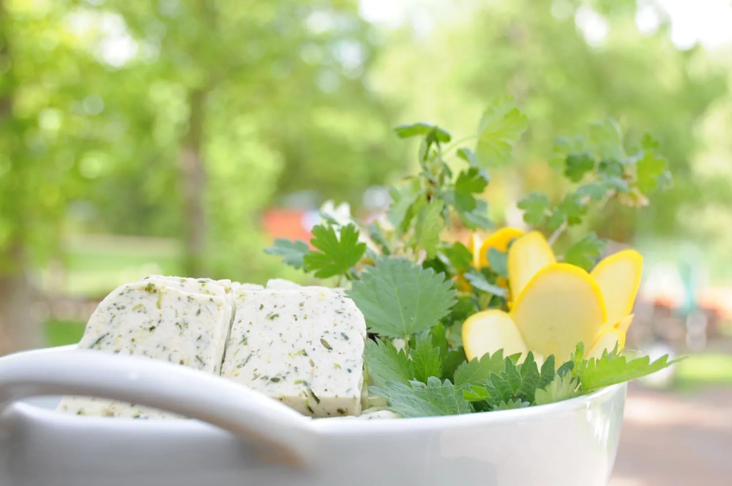 Restaurant/places to eat in Hotel Krapi