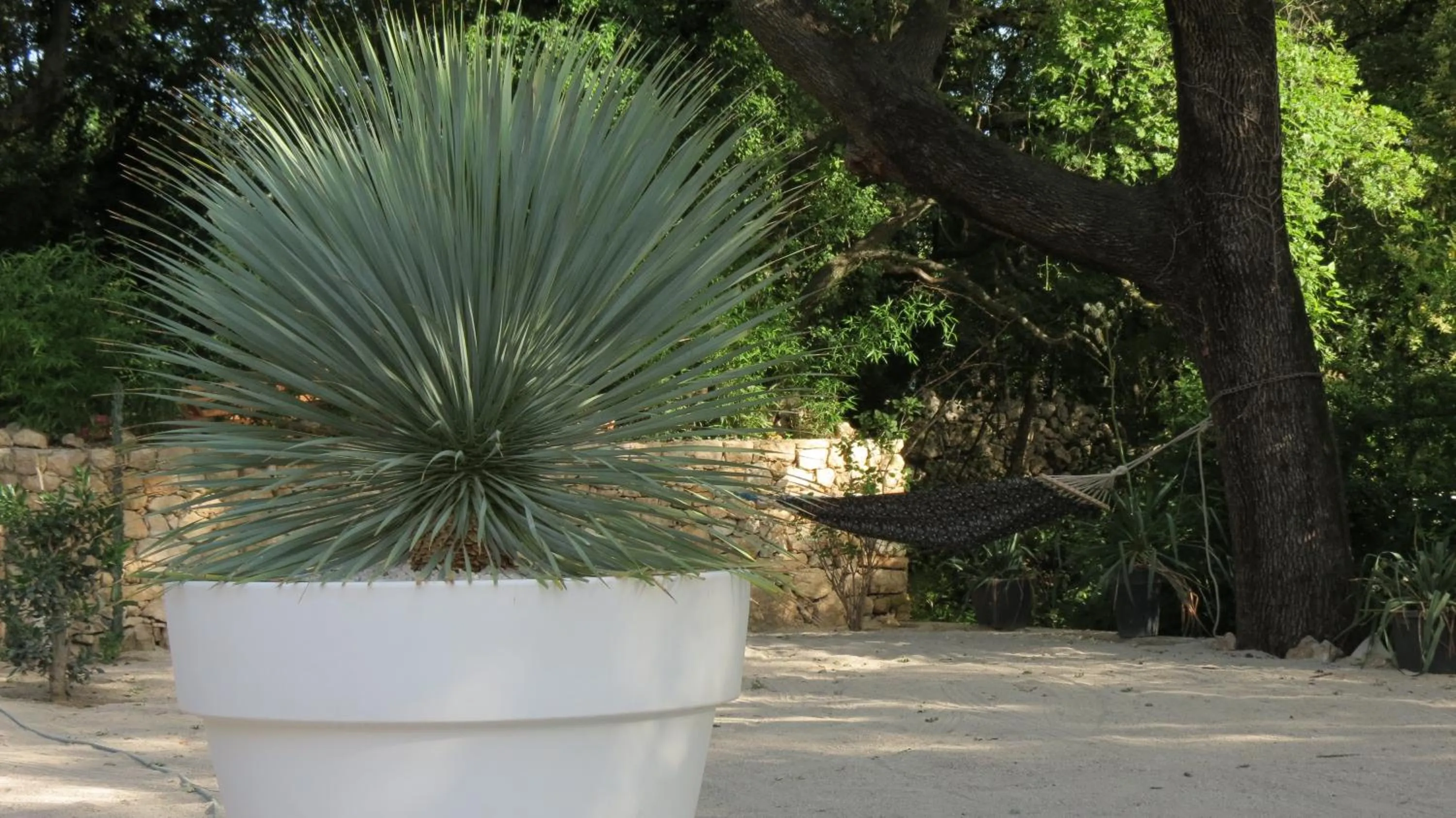 Property building in Le Castellas du Pic St Loup