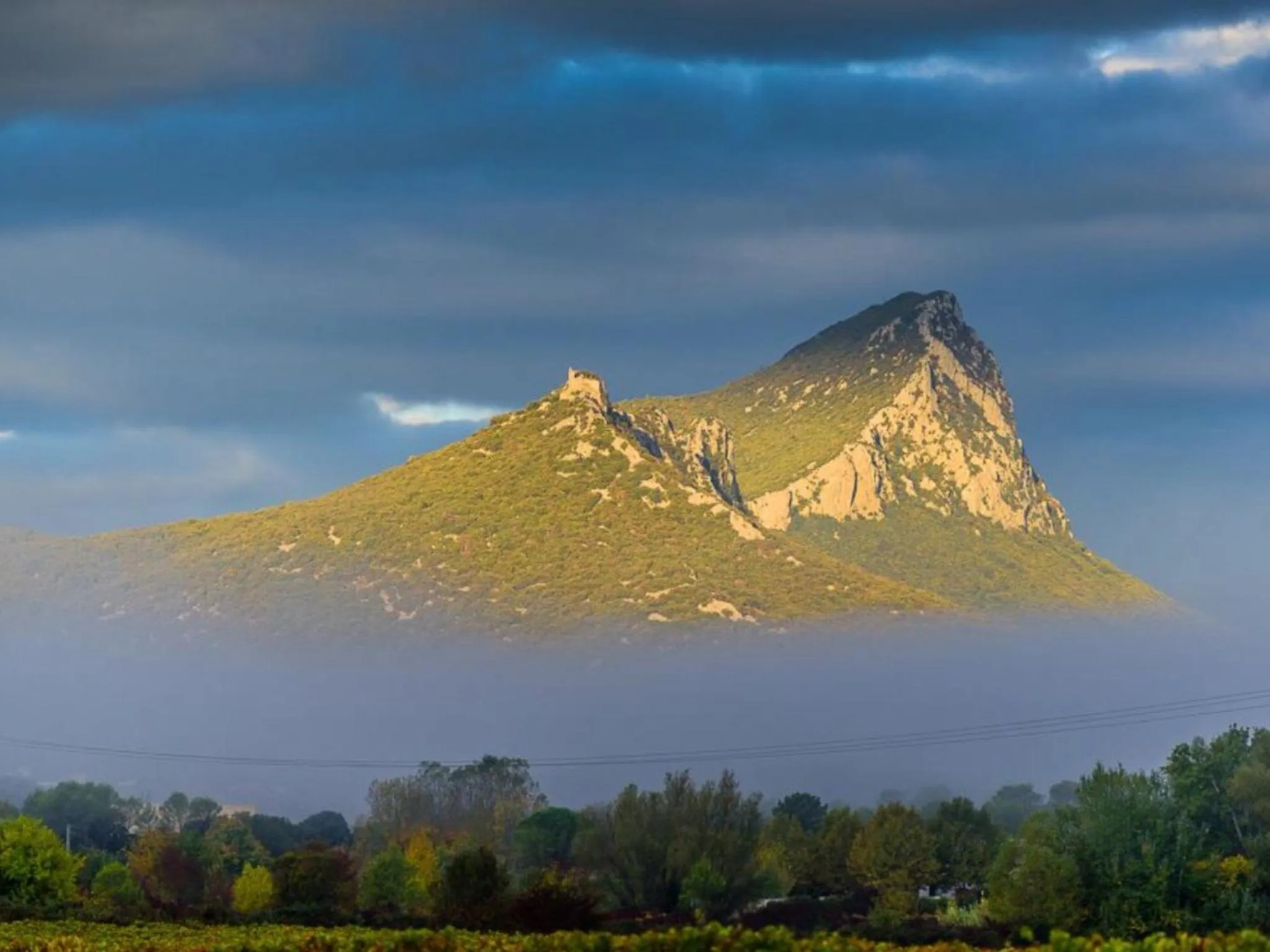 Le Castellas du Pic St Loup