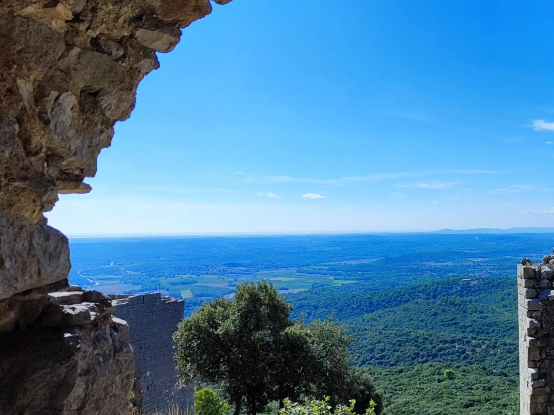 Le Castellas du Pic St Loup