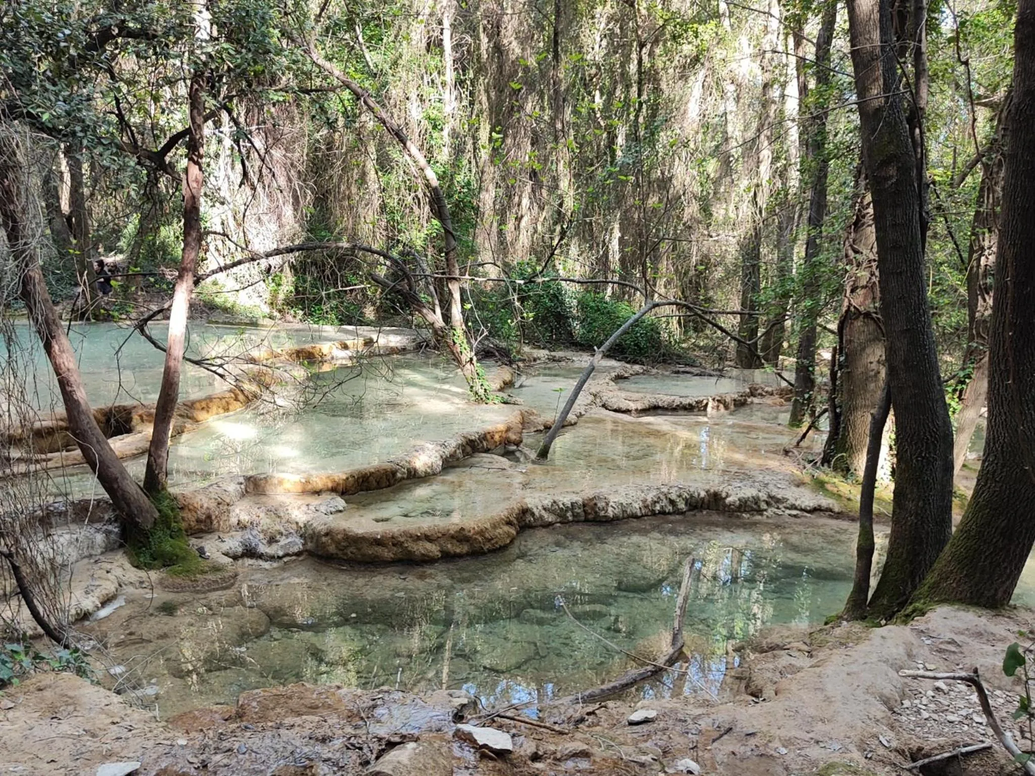 Le Castellas du Pic St Loup