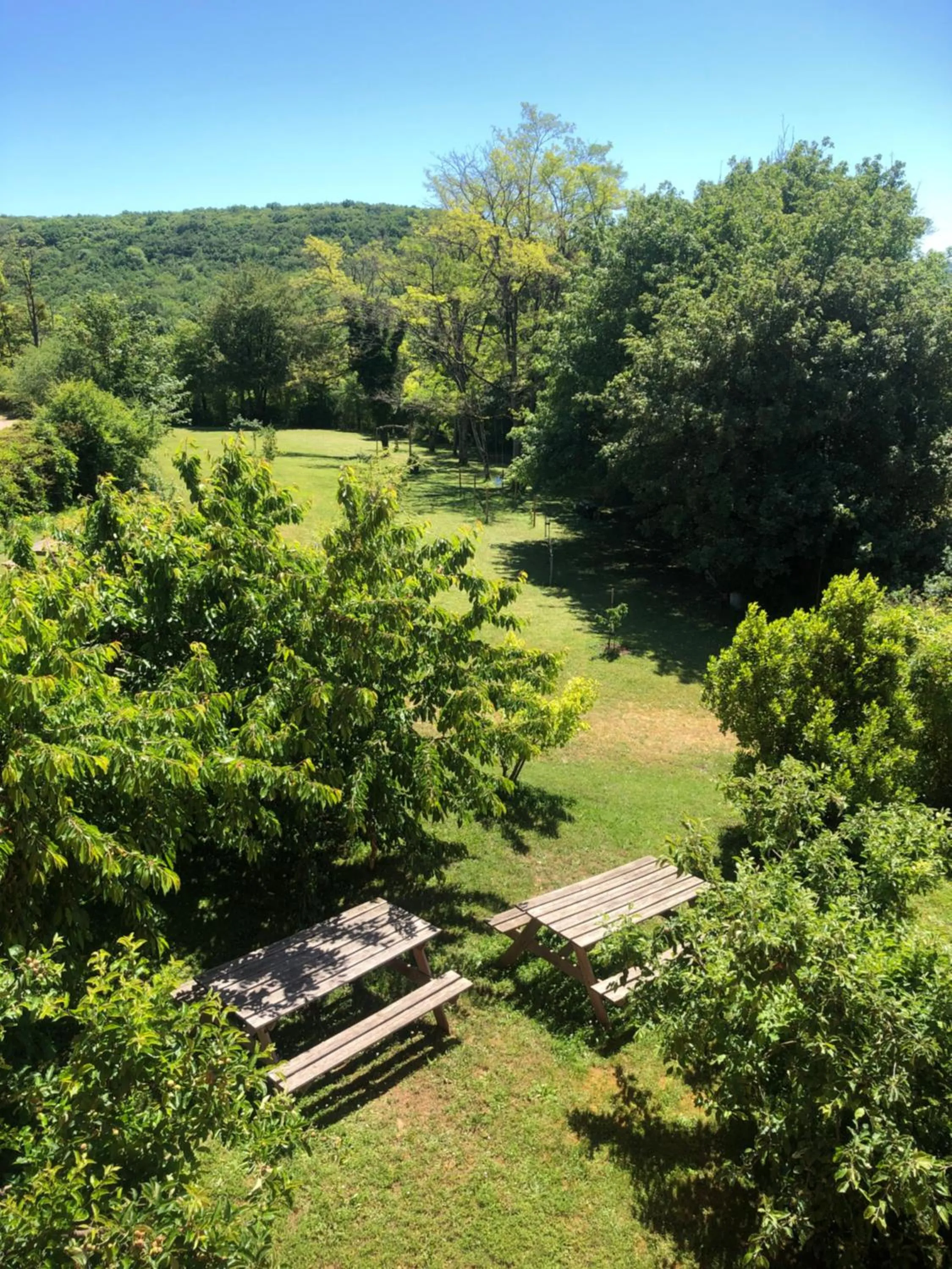 Garden in Hôtel Restaurant La Manse