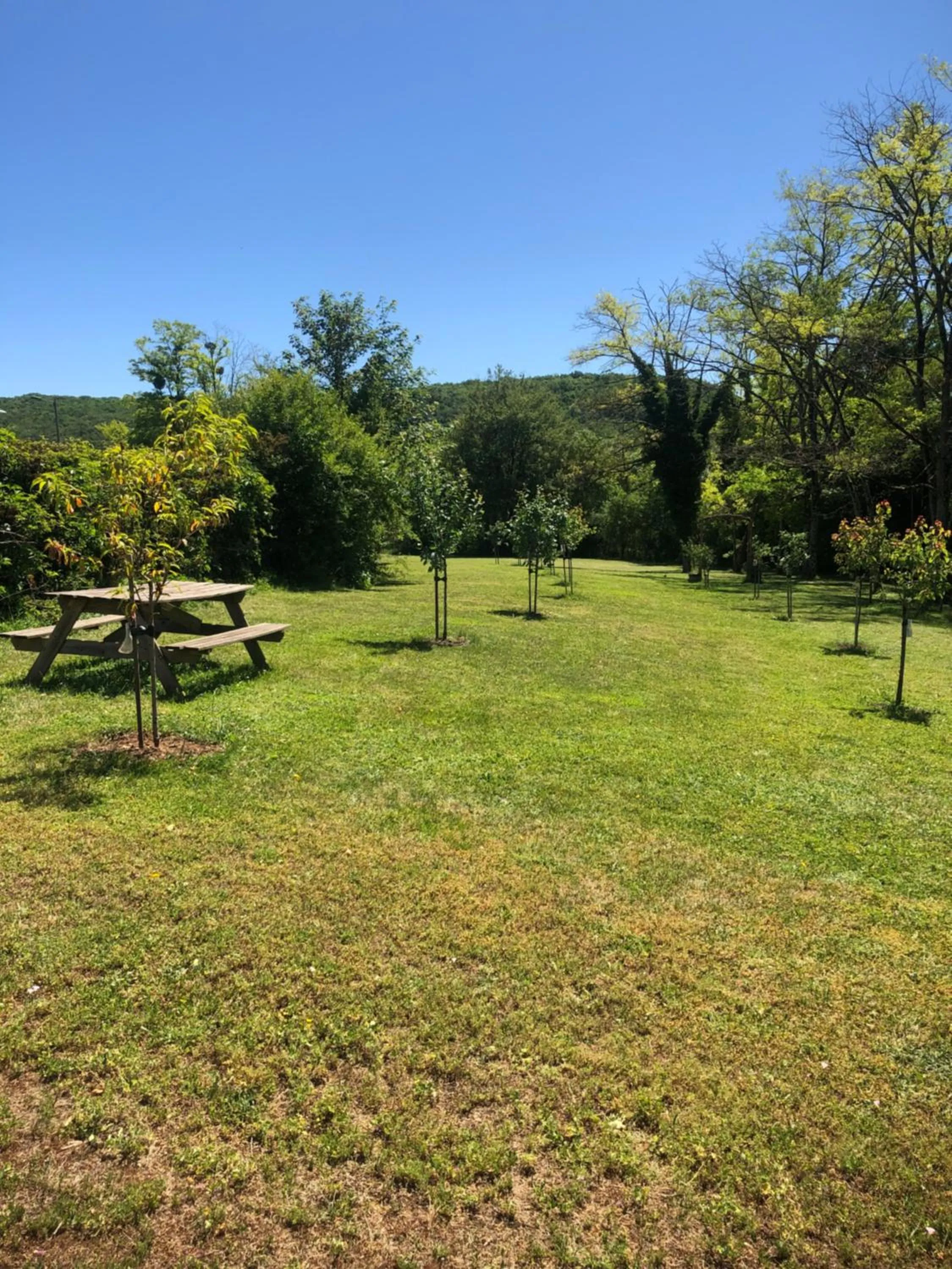 Garden in Hôtel Restaurant La Manse