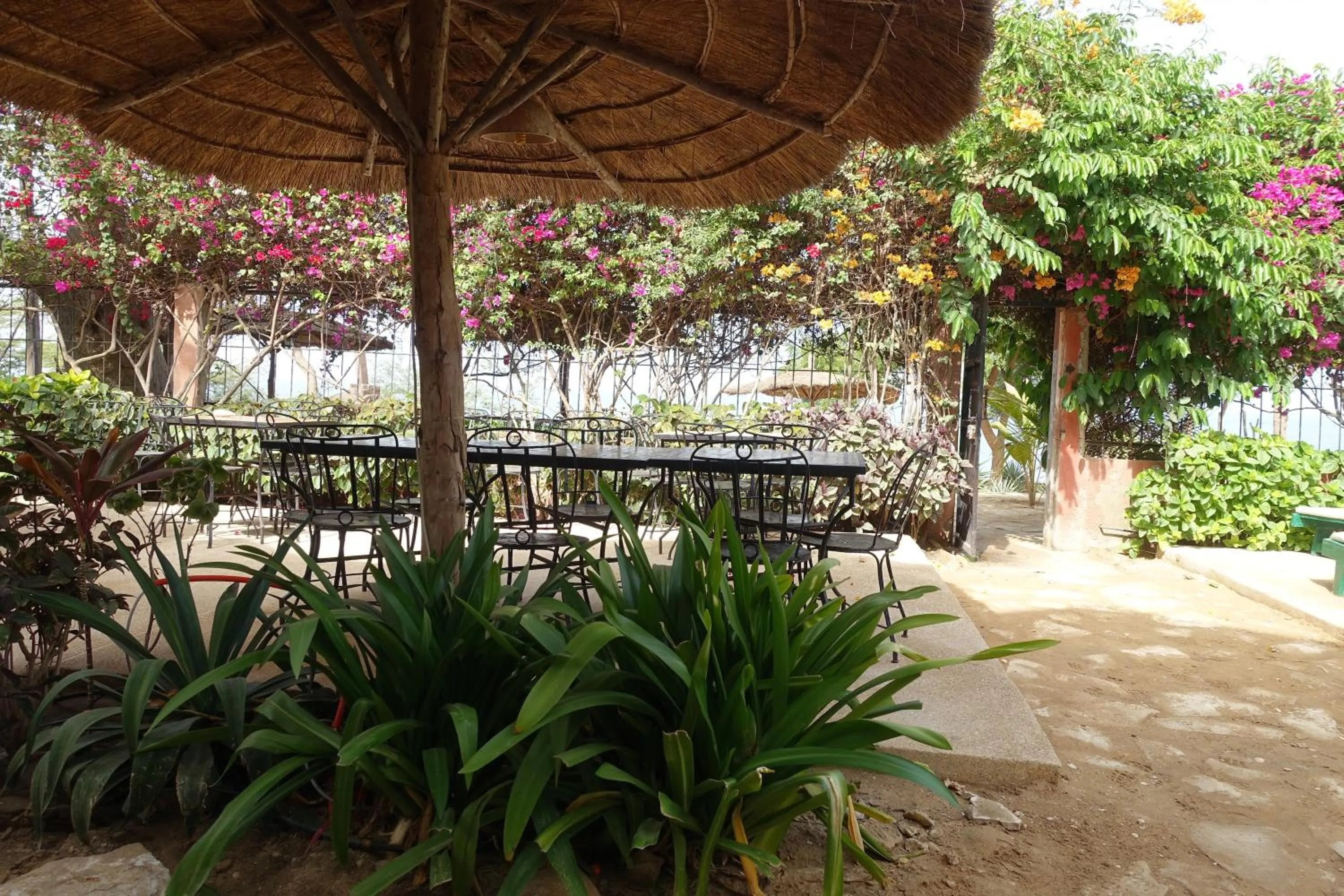 Garden in Keur Marrakis