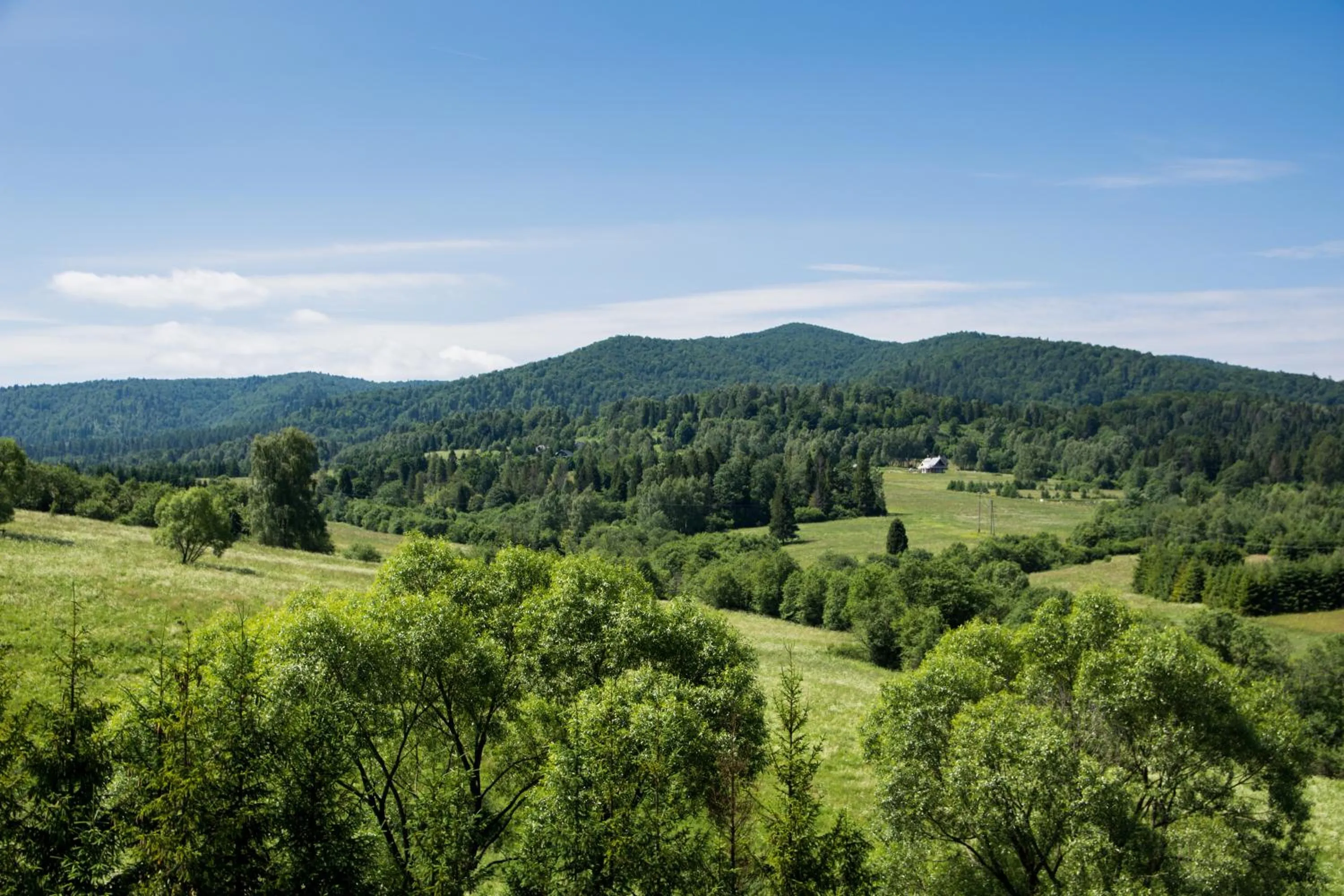 Neighbourhood in Hotel Carpatia Bieszczadzki Gościniec