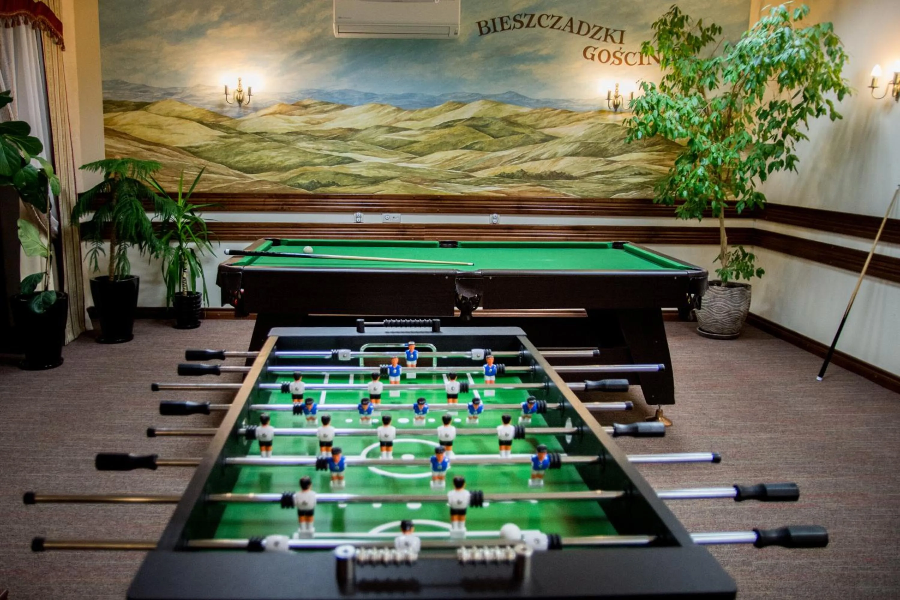 Communal lounge/ TV room in Hotel Carpatia Bieszczadzki Gościniec