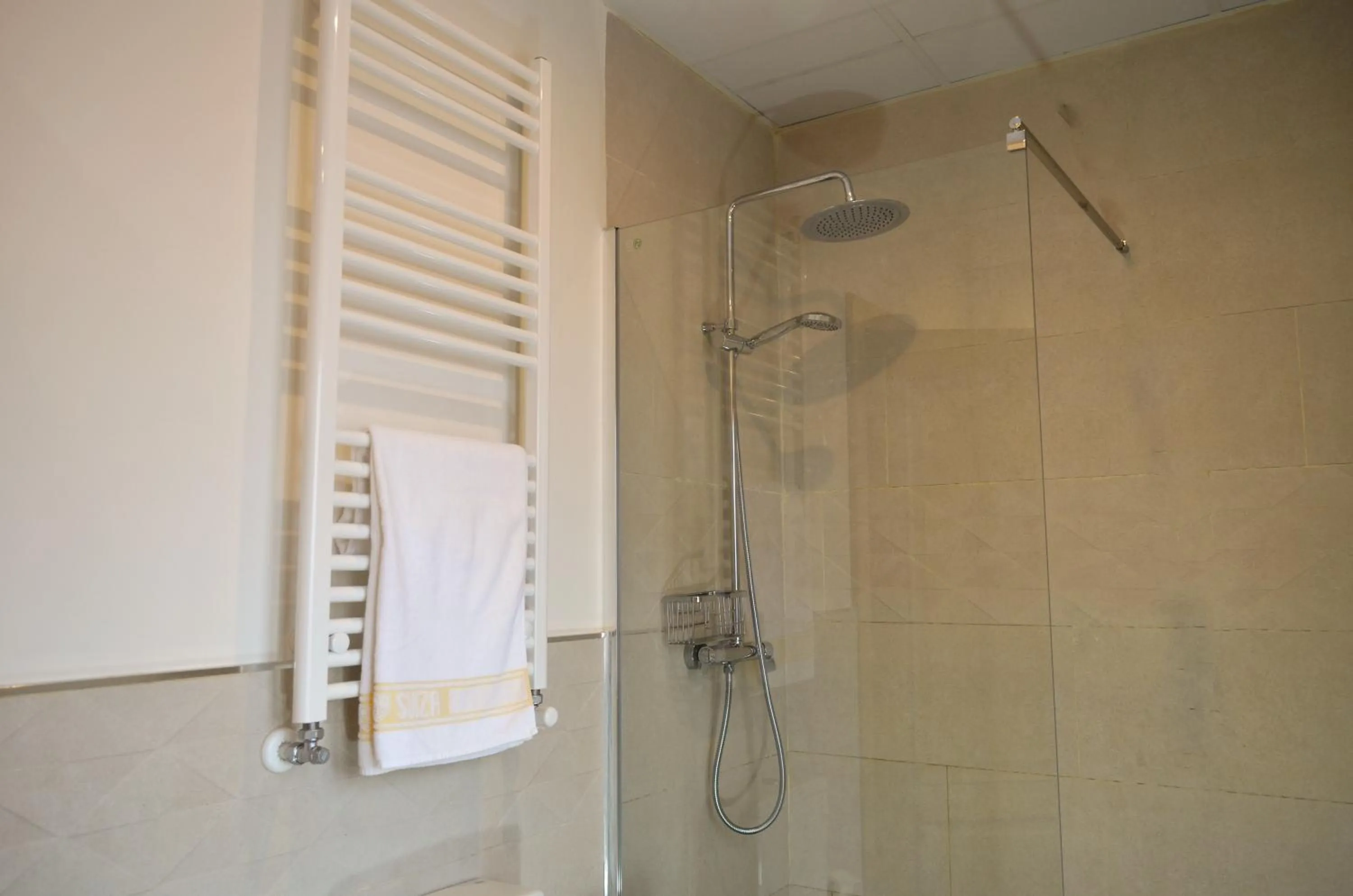 Bathroom in Hotel Suiza