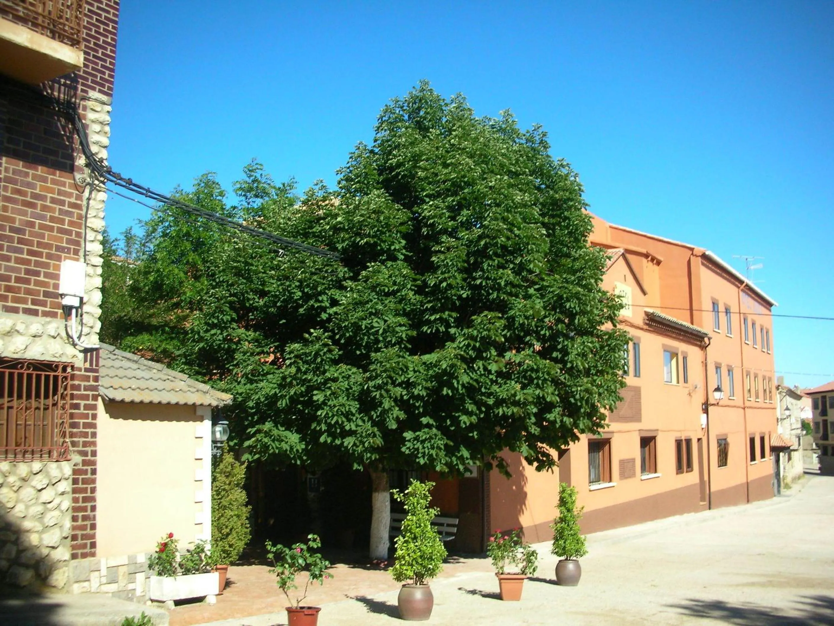 Facade/entrance in Hotel Suiza