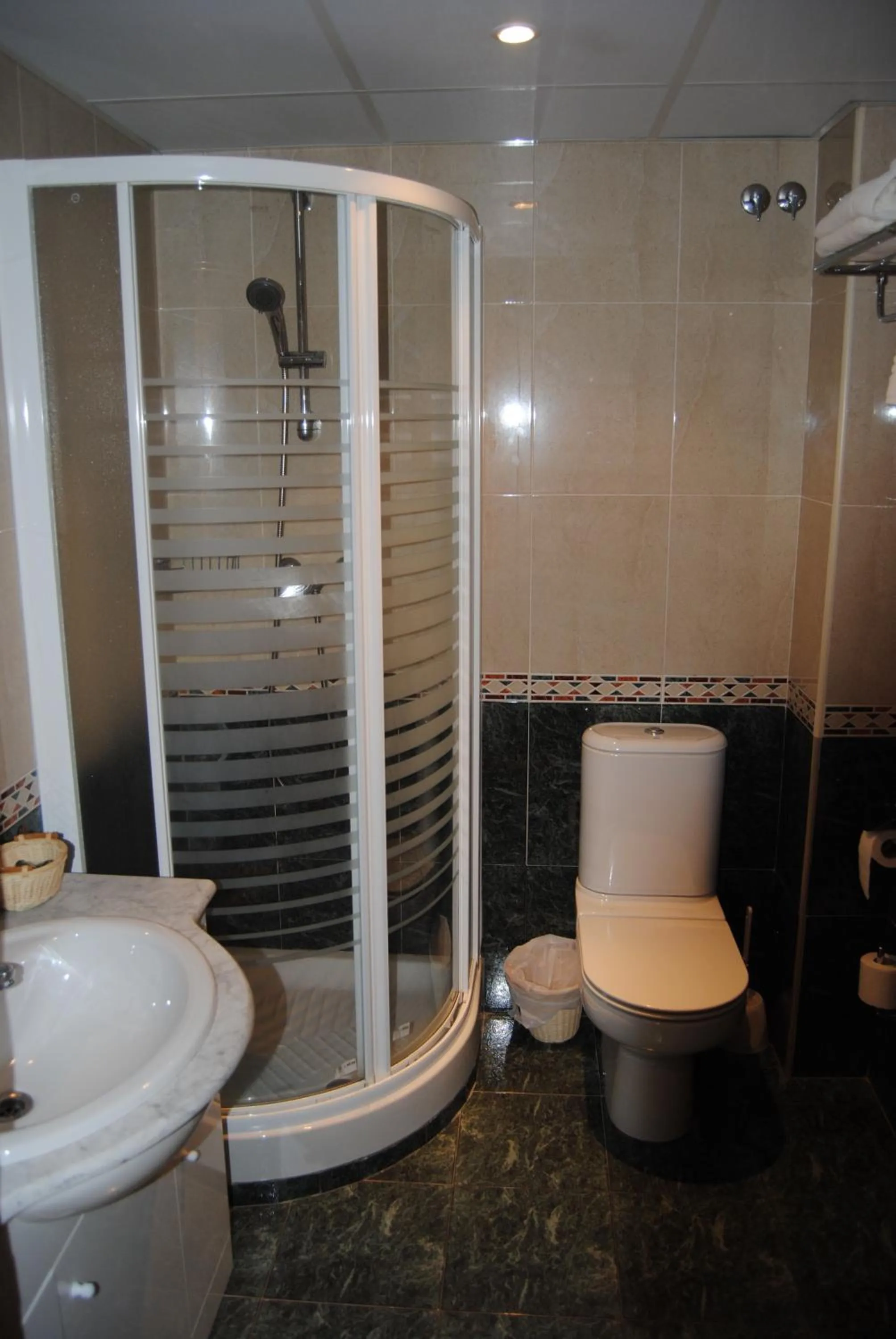 Toilet in Hotel Suiza