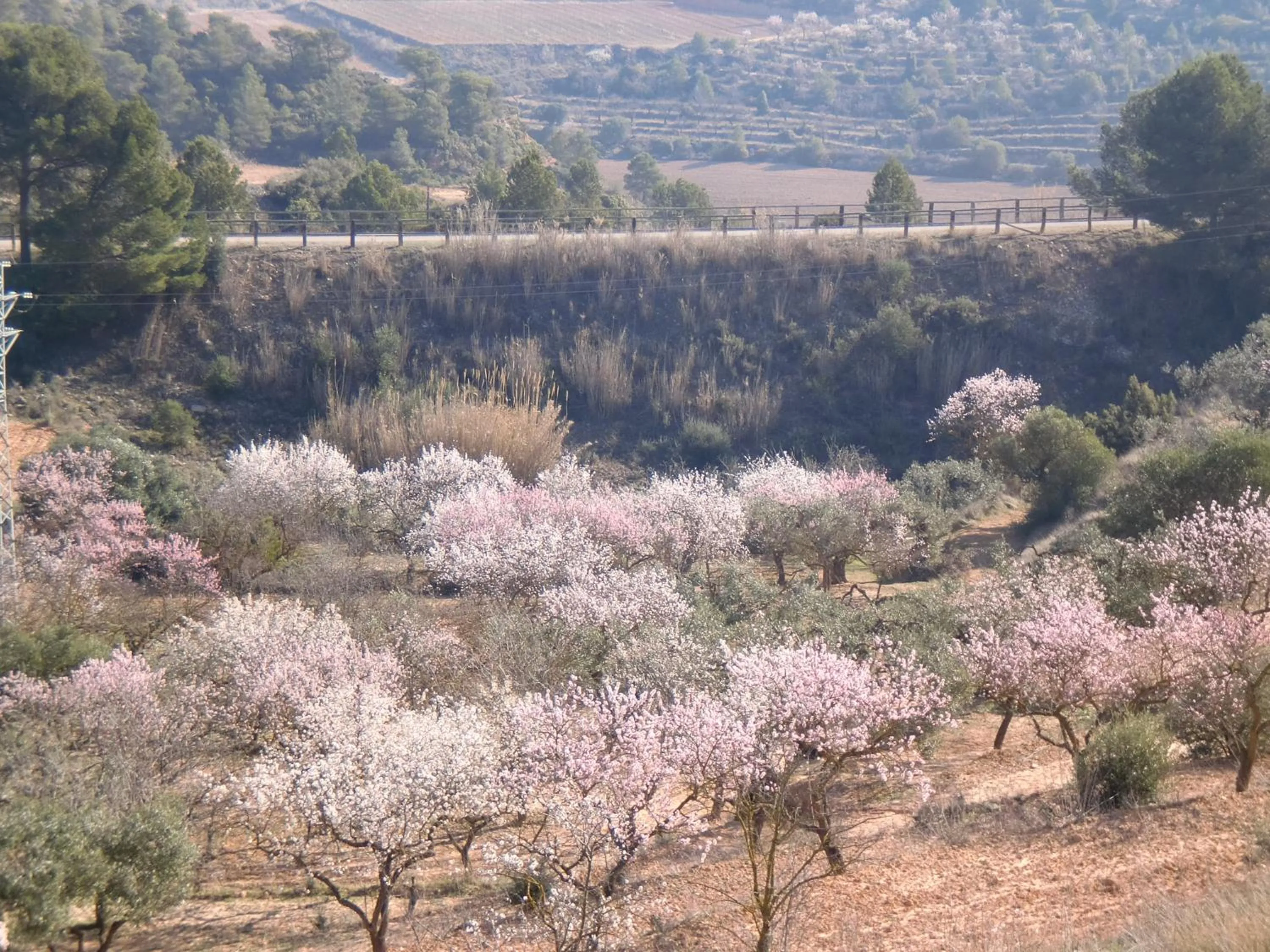 Mountain view in Hotel & Spa Can Josep
