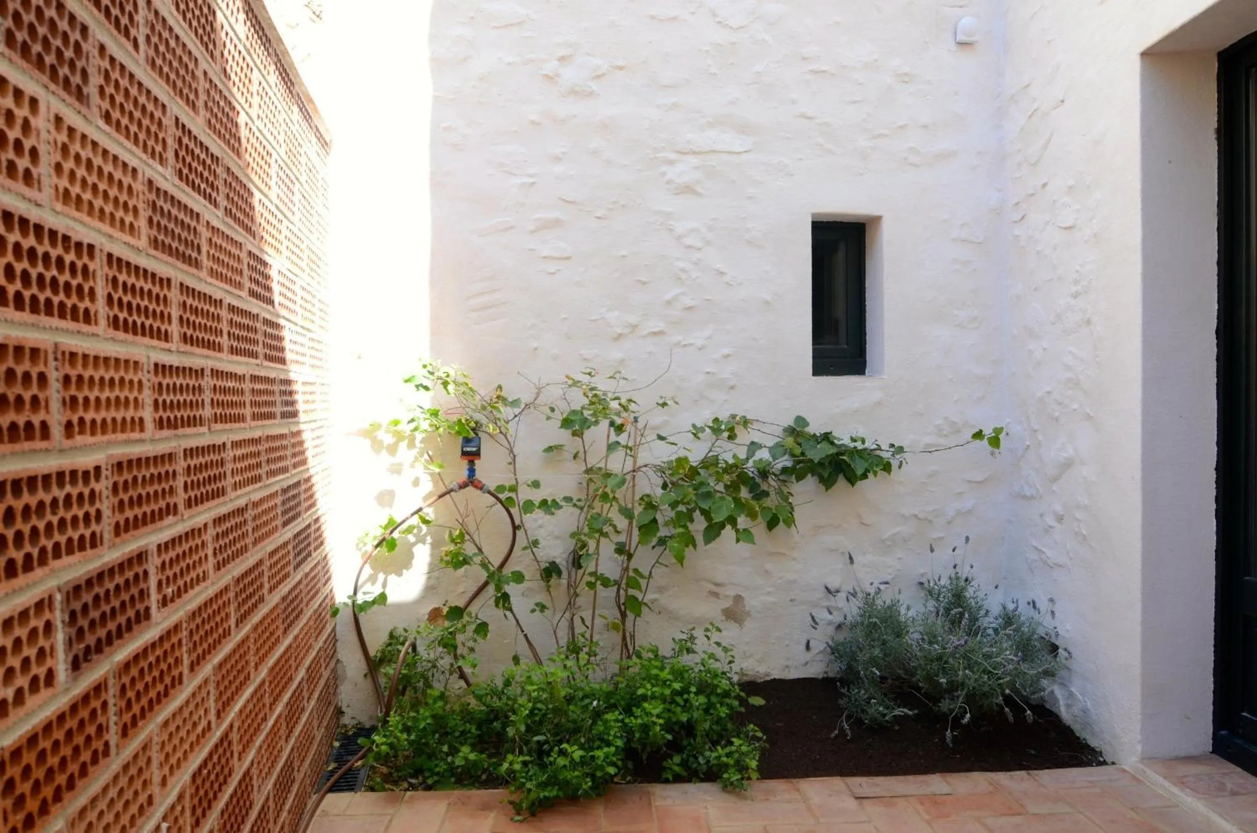 Other in Casa Rosa Port