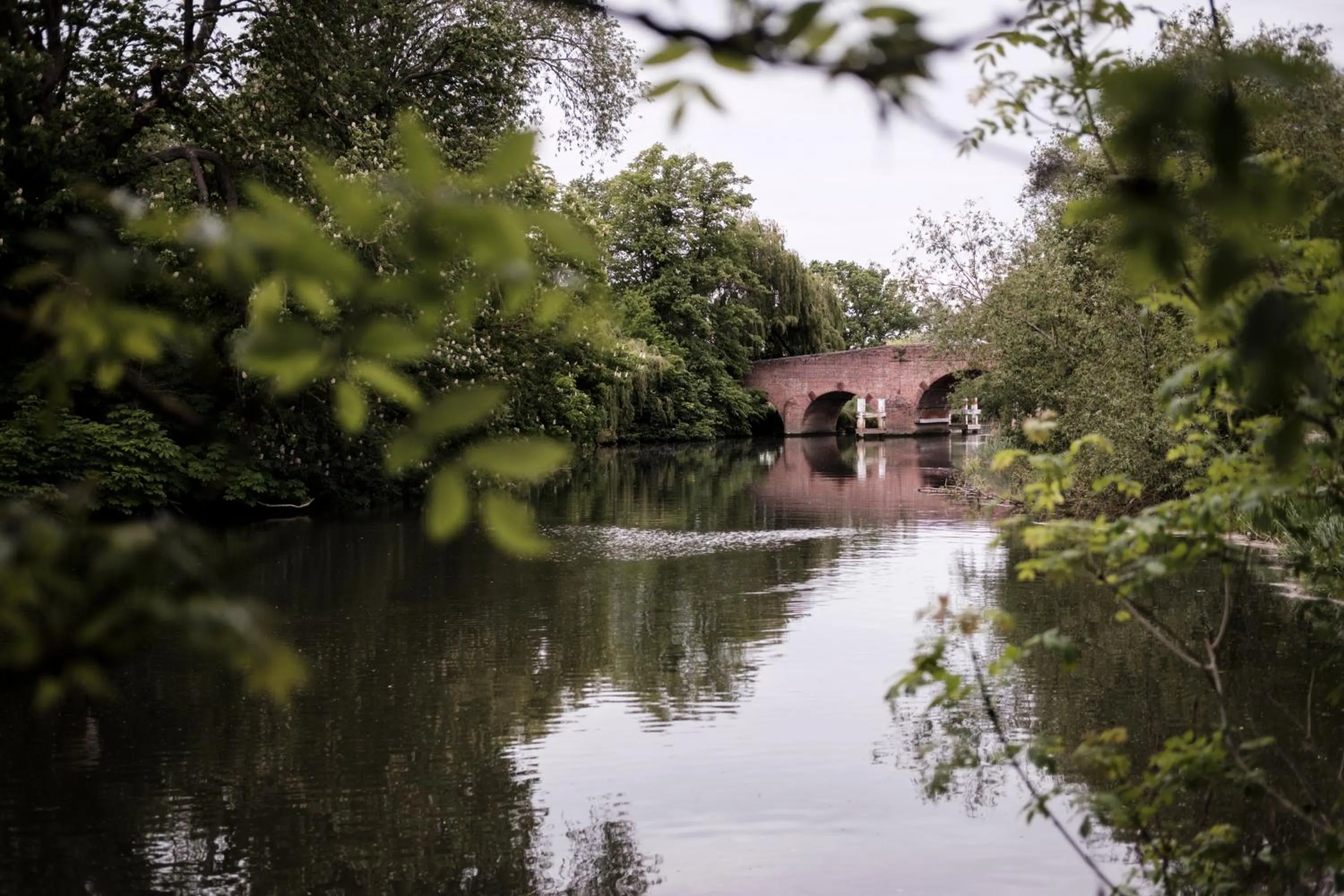 Natural landscape in Bull Inn