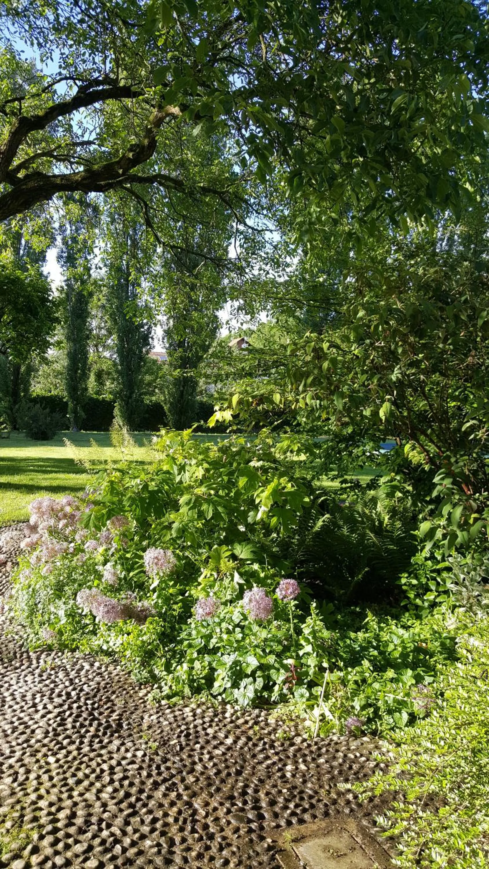 B&B La Cascina Grossa