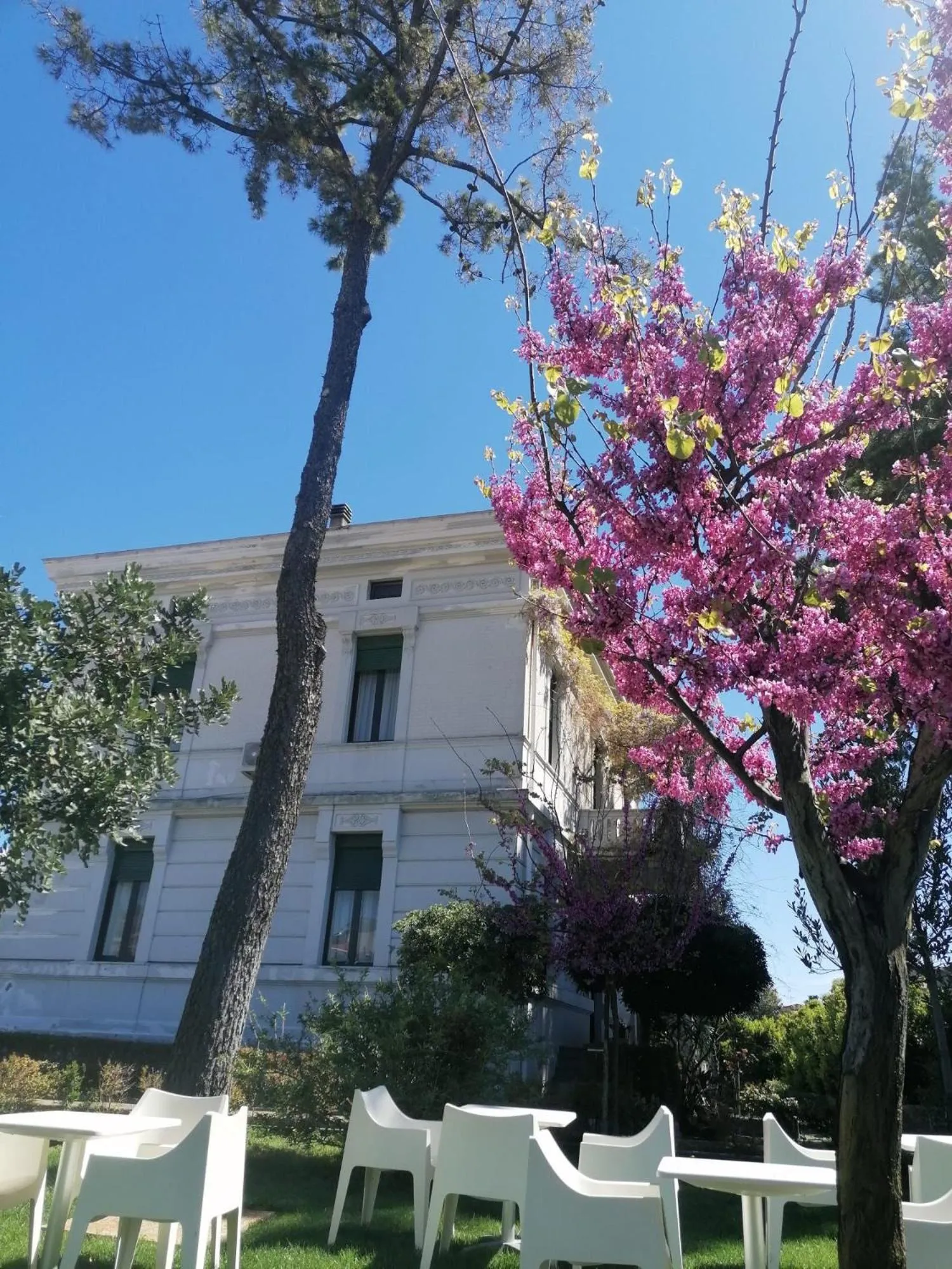 Garden in Villa Giordanelli