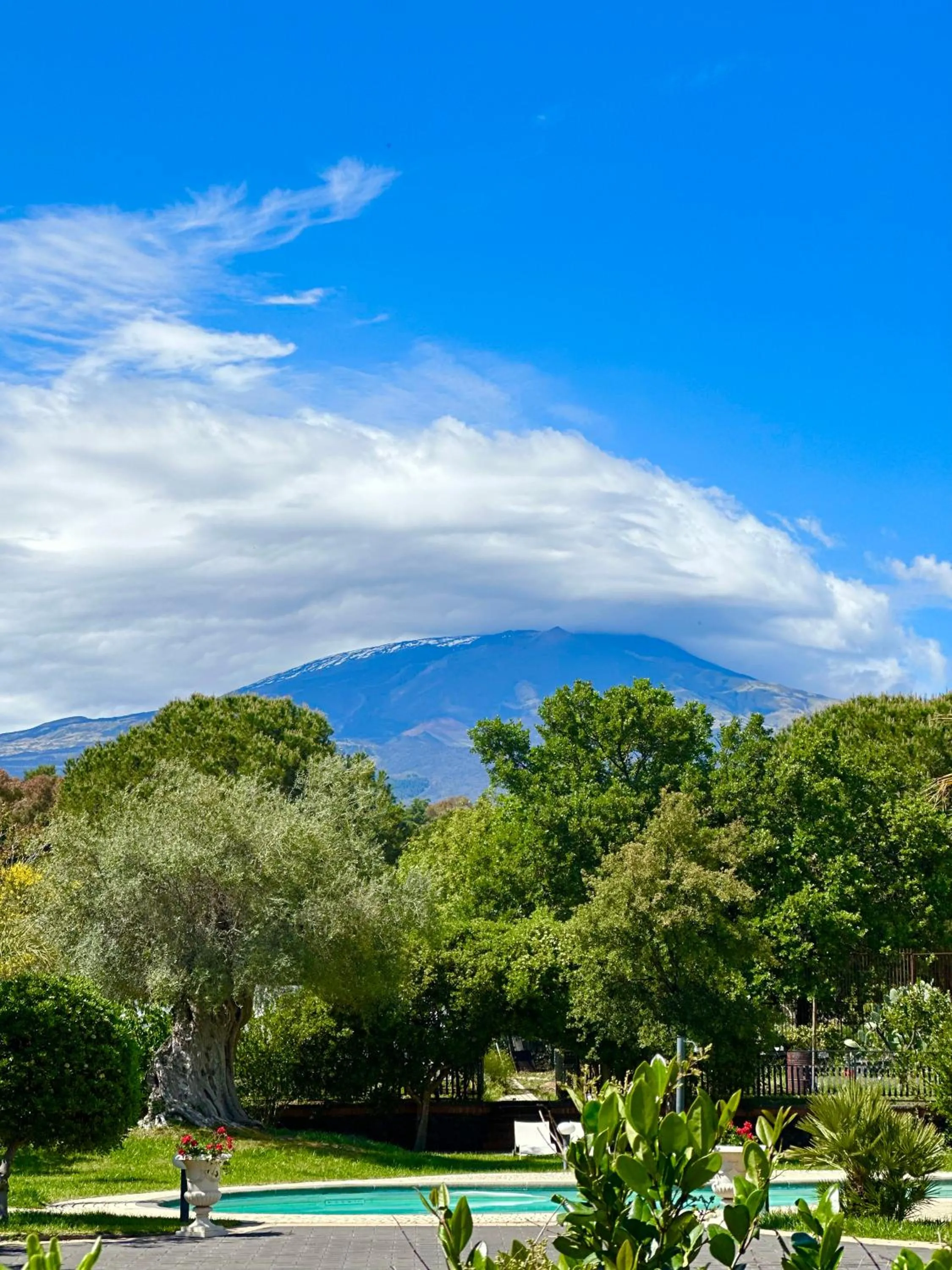 Garden in B&B Blanc Maison Etna Relais & Charme