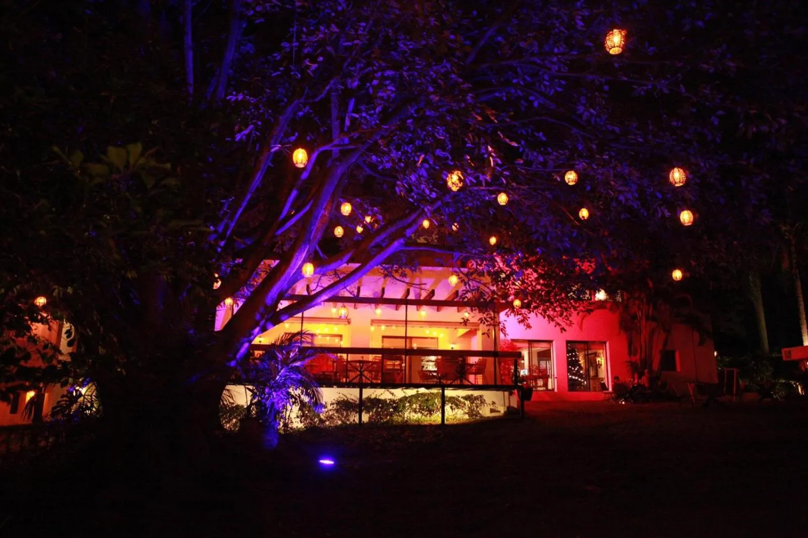 Restaurant/places to eat in La Provence Restaurant & Hotel Boutique