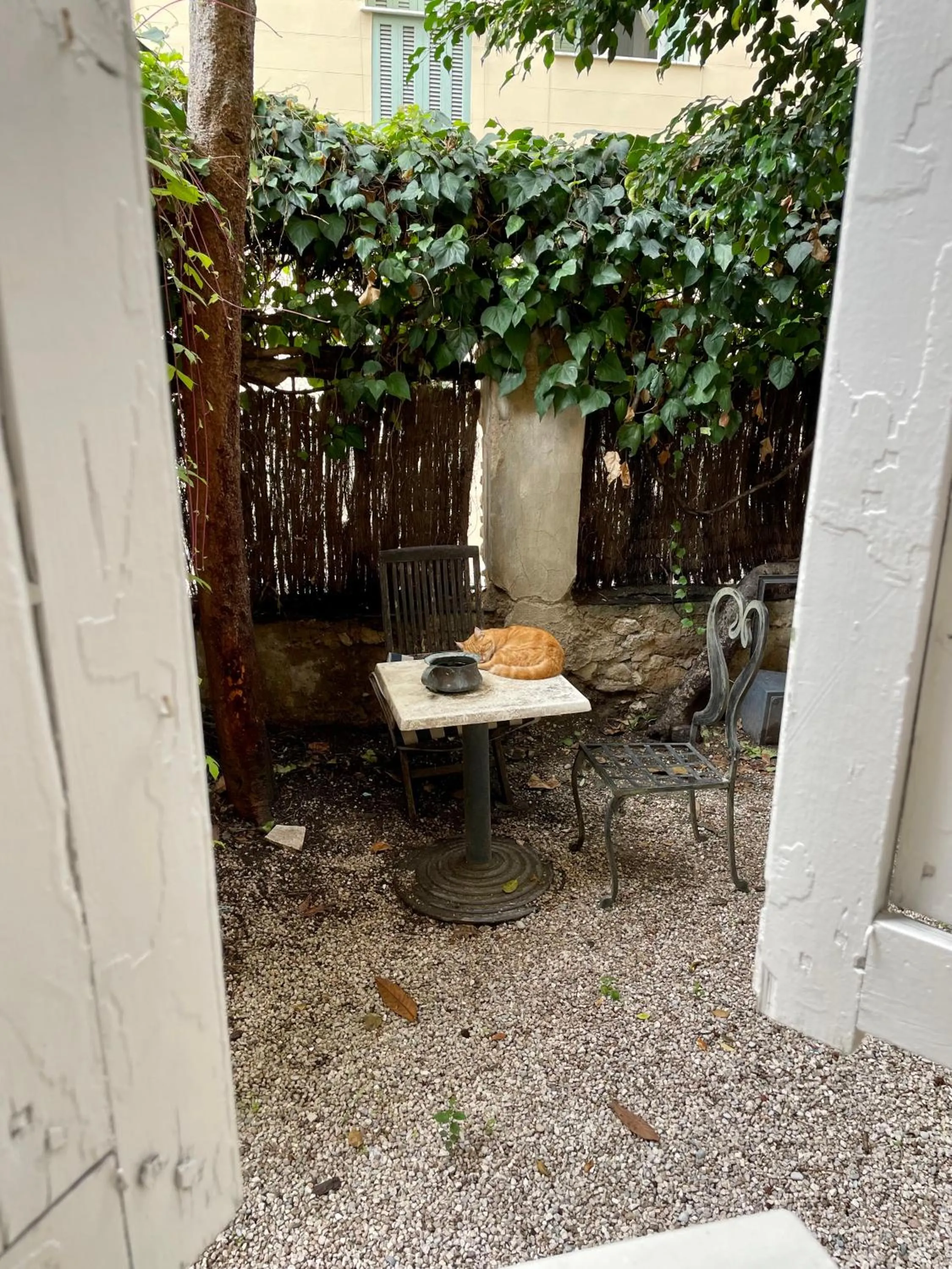 Garden view in Nice Garden Hotel