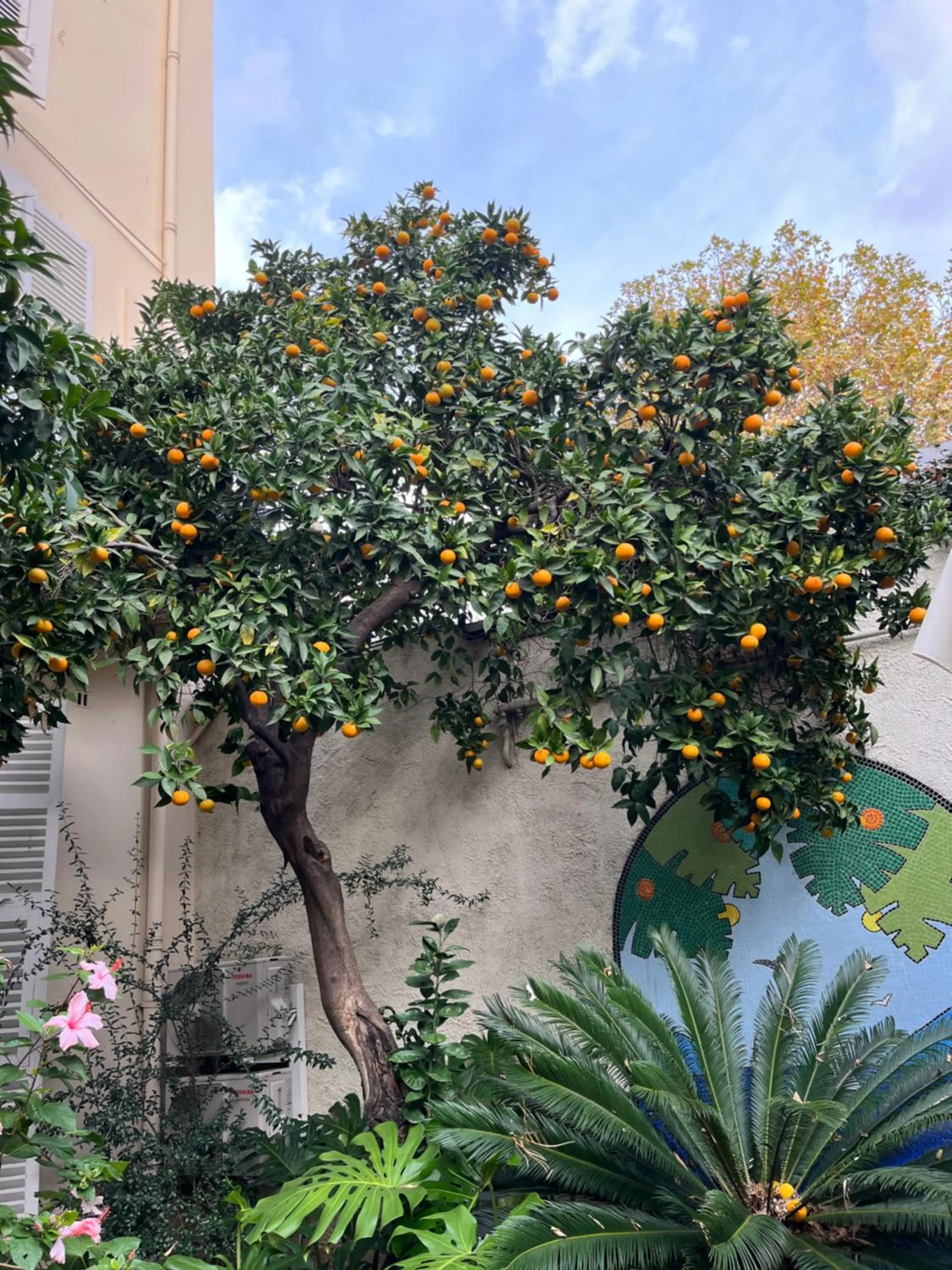 Garden in Nice Garden Hotel