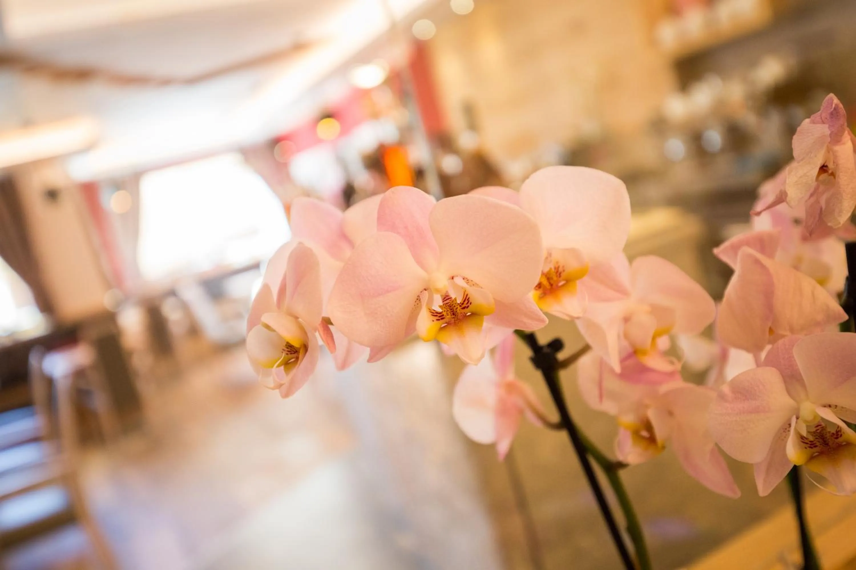 Decorative detail in Chalet Marcora