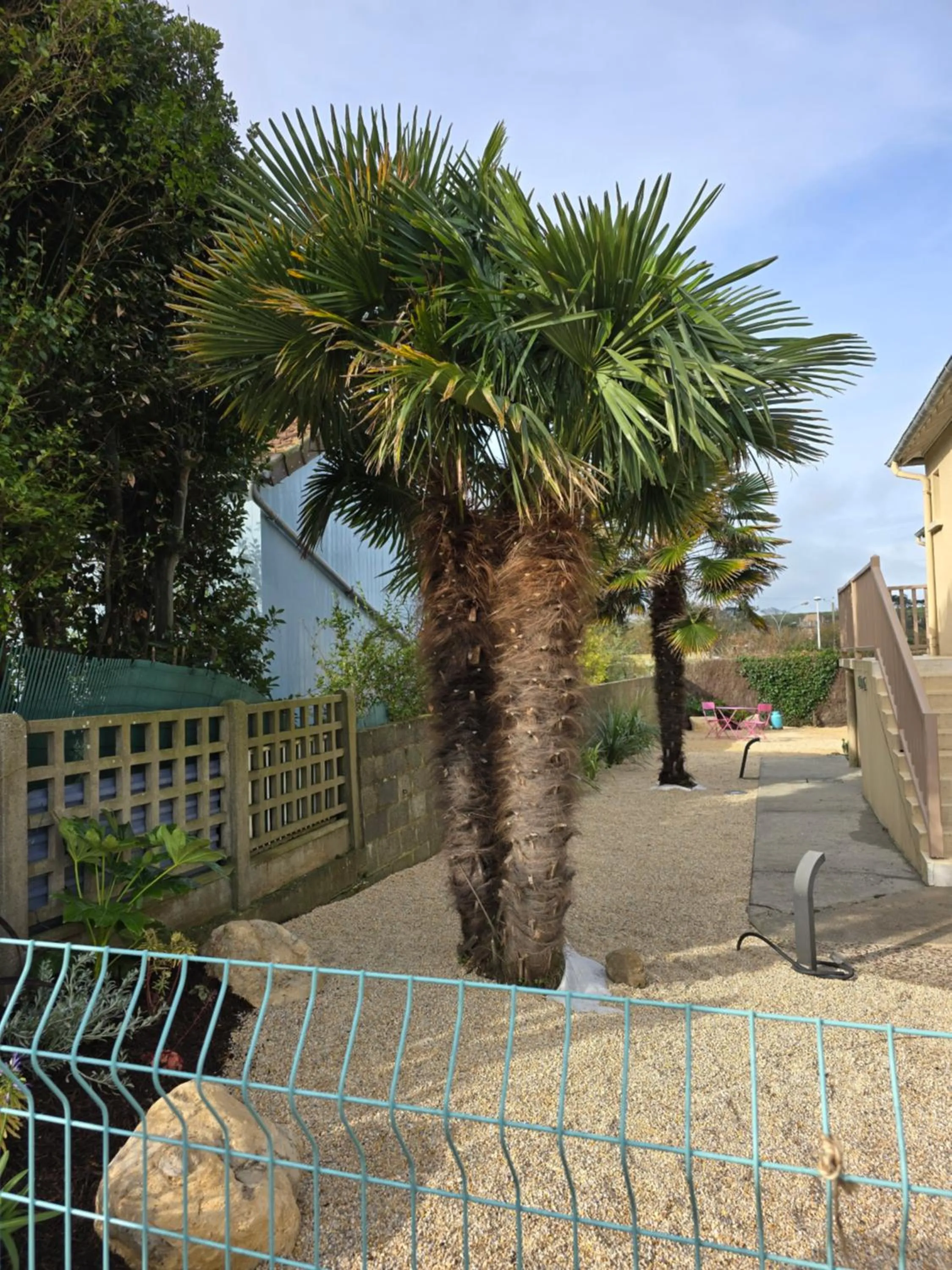 Natural landscape in Hôtel L'ideal le Mountbatten