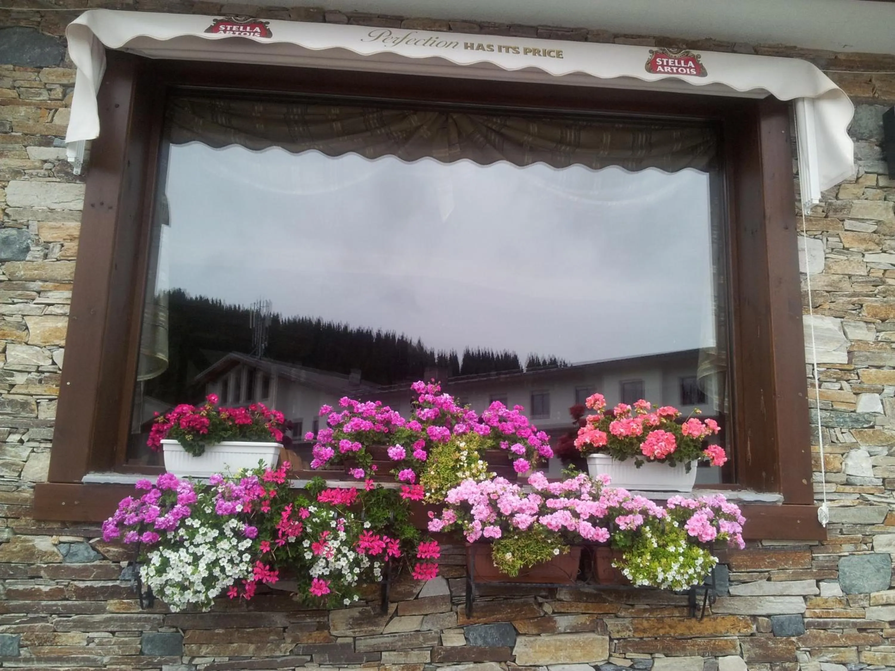 Other in Hotel Iva & Elena