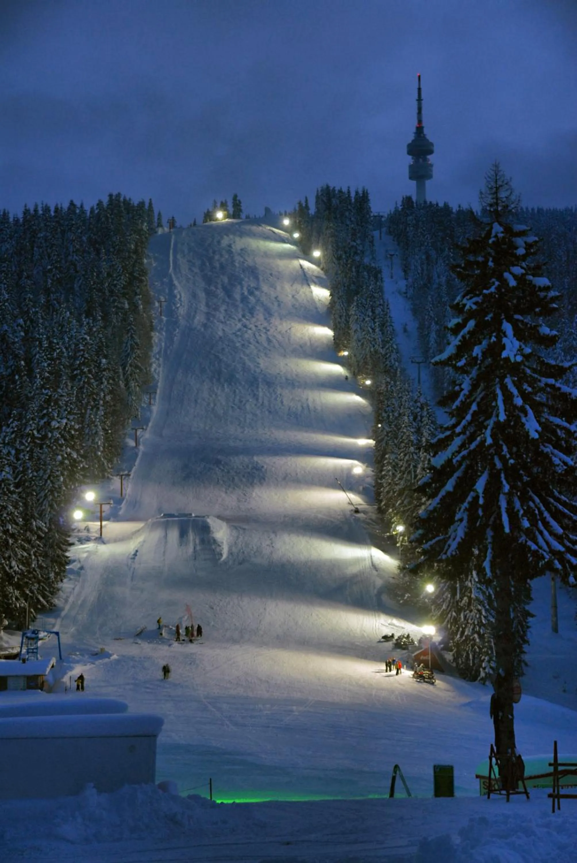 Area and facilities in Hotel Iva & Elena